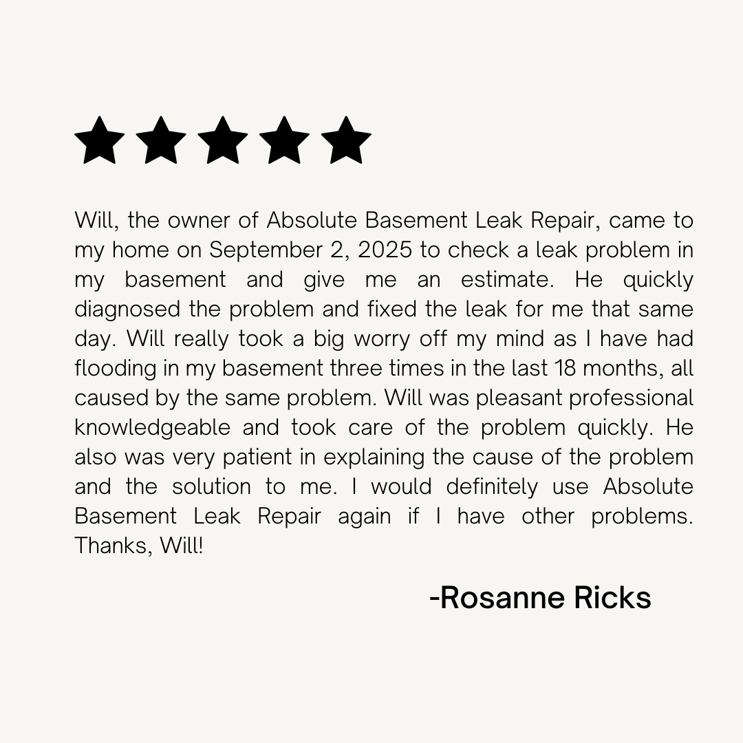 Cream Minimalist Product Customer Review Instagram Post.png