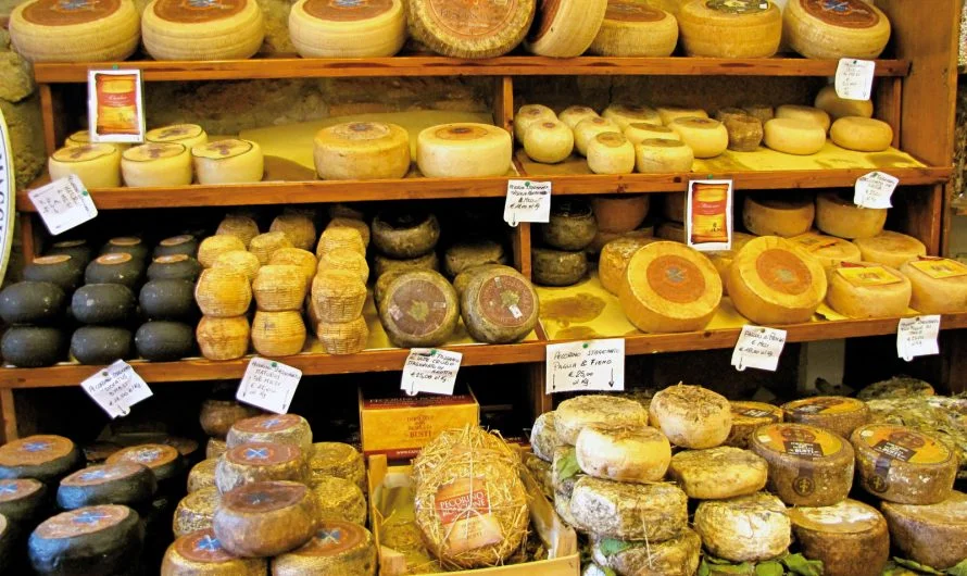 food2.jpg