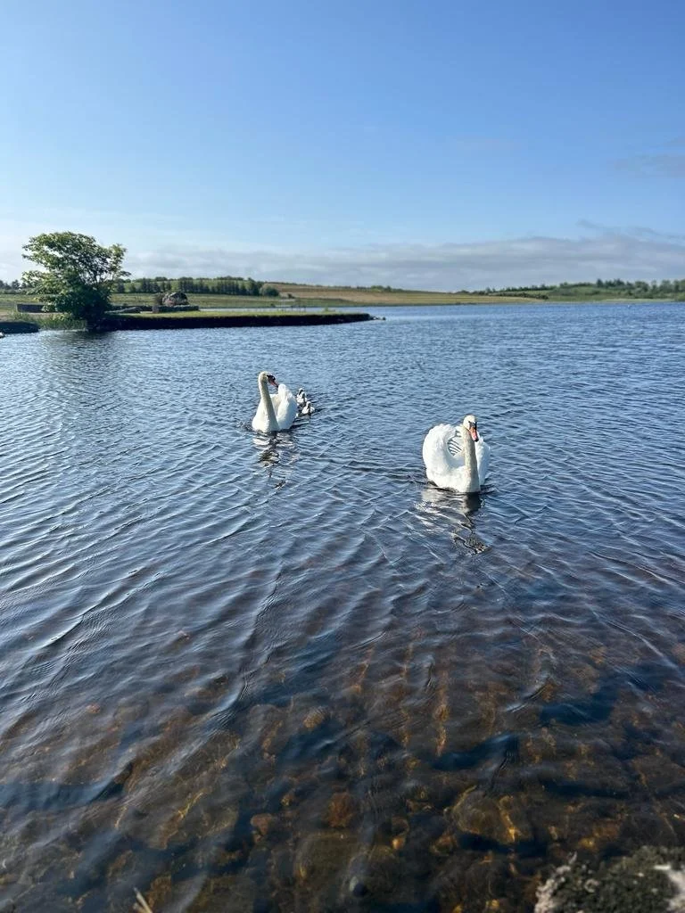 WhatsApp Image 2024-01-25 at 9.54.00 PM (12).jpeg