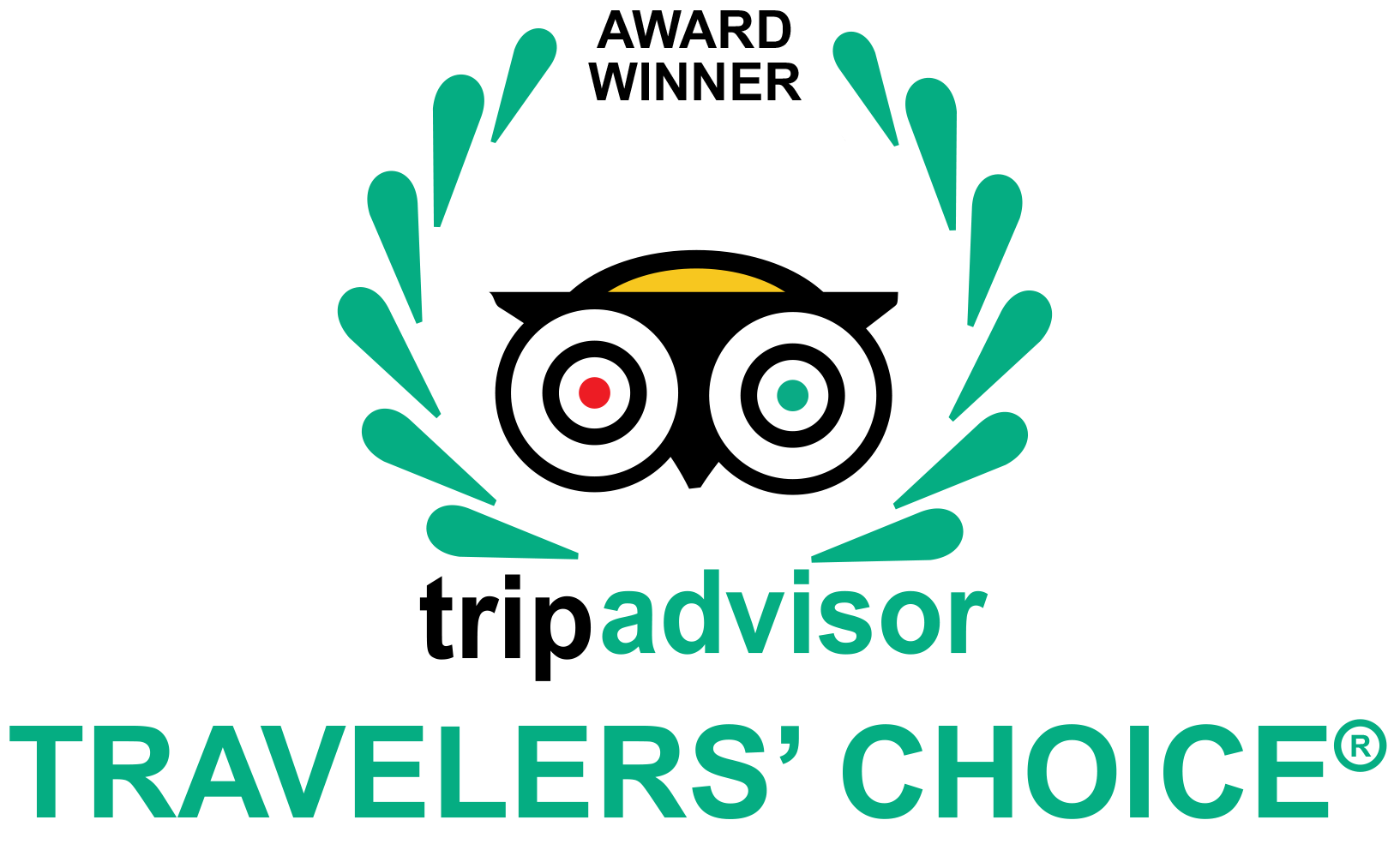 TripAdvisor Travellers Choice Hotels in India.png