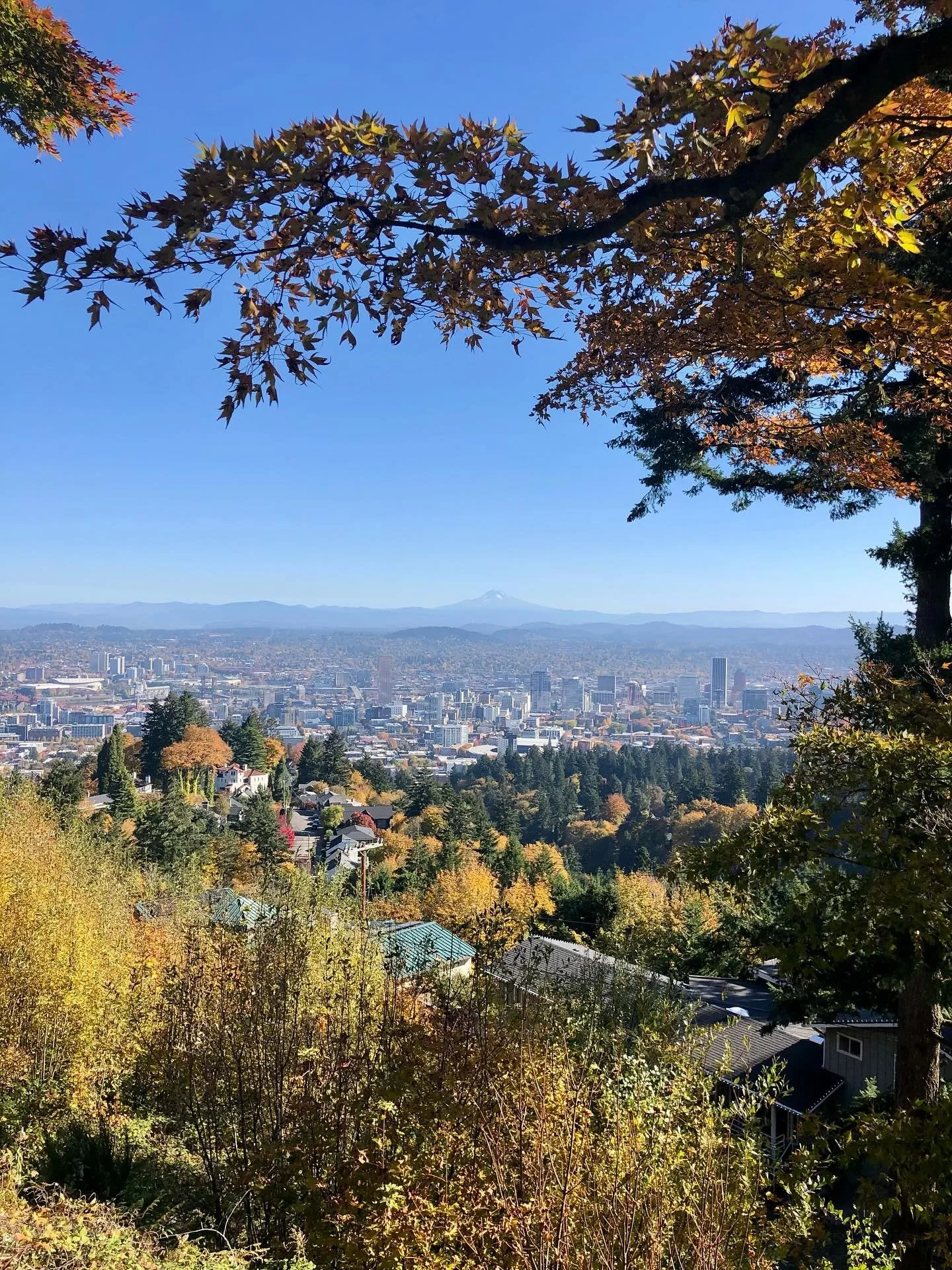 POV: It&rsquo;s October in the Pacific Northwest... And every view feels like we&rsquo;re living in a postcard. ✨

This is your sign to get out and enjoy those picture-perfect fall leaves while they last!!

Collection of photos captured by our very o
