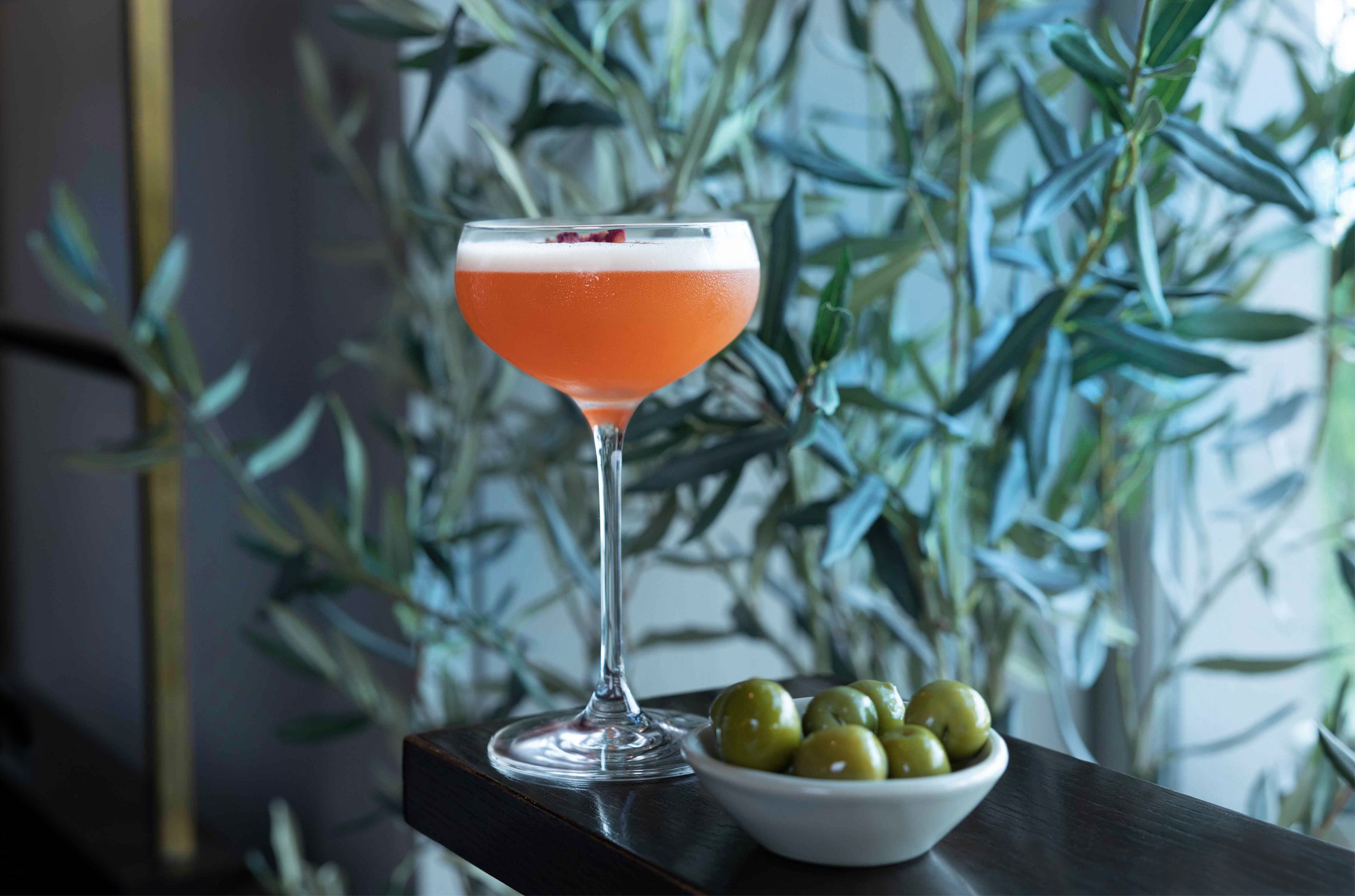 oliveto cocktail 0523.jpg