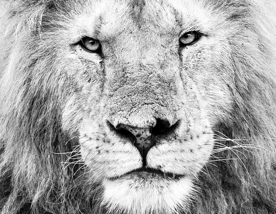 KNOW THYSELF (Copy)
