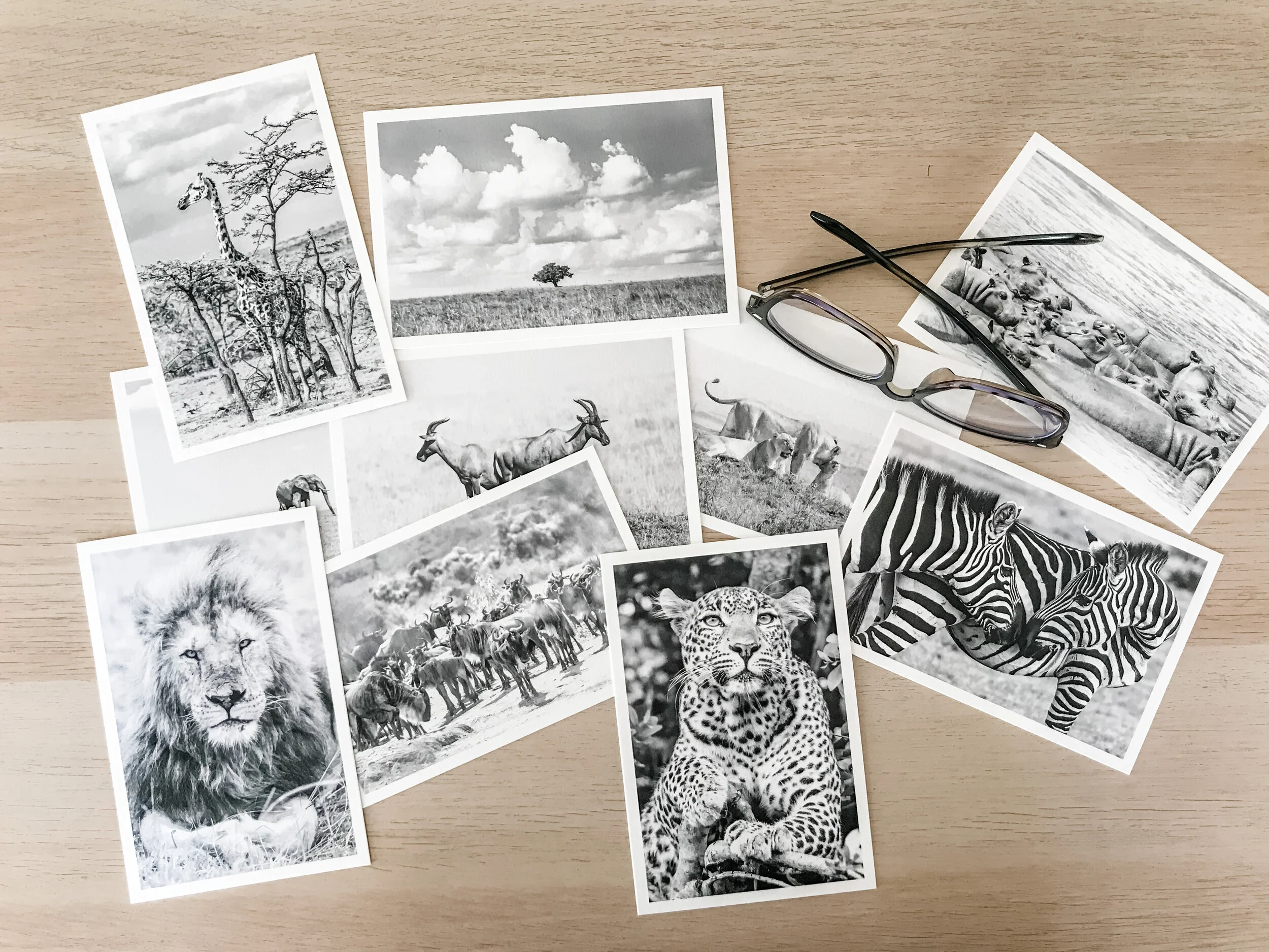 Mother Nature - 10 Prints, 4"x6"