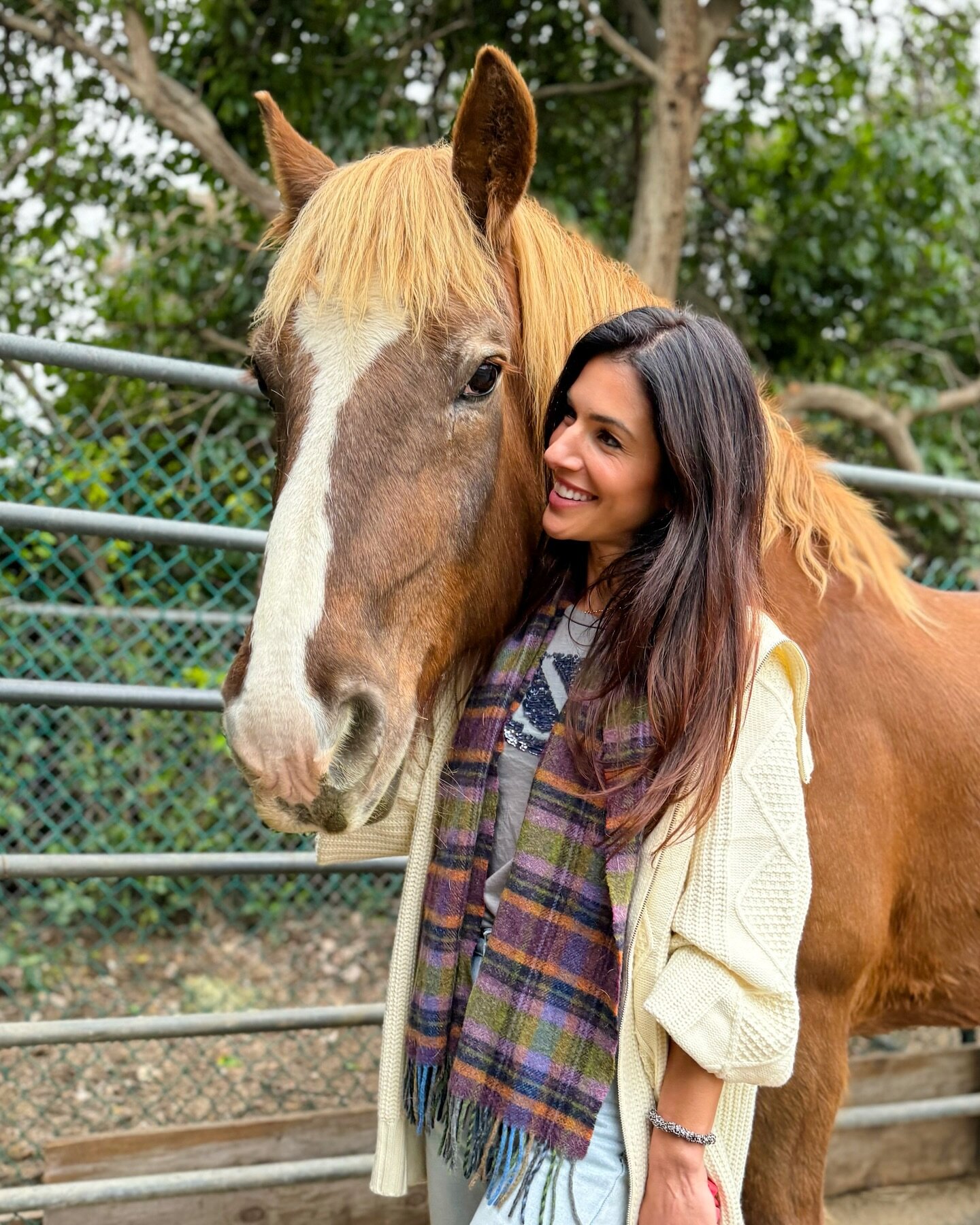 Happiness is when what you think, what you say, and what you do are in harmony. -Mahatma Gandhi 

Horses, especially Toby, are great teachers of this. They are fully themselves and pose no judgments. You don&rsquo;t have to perform to get their love 