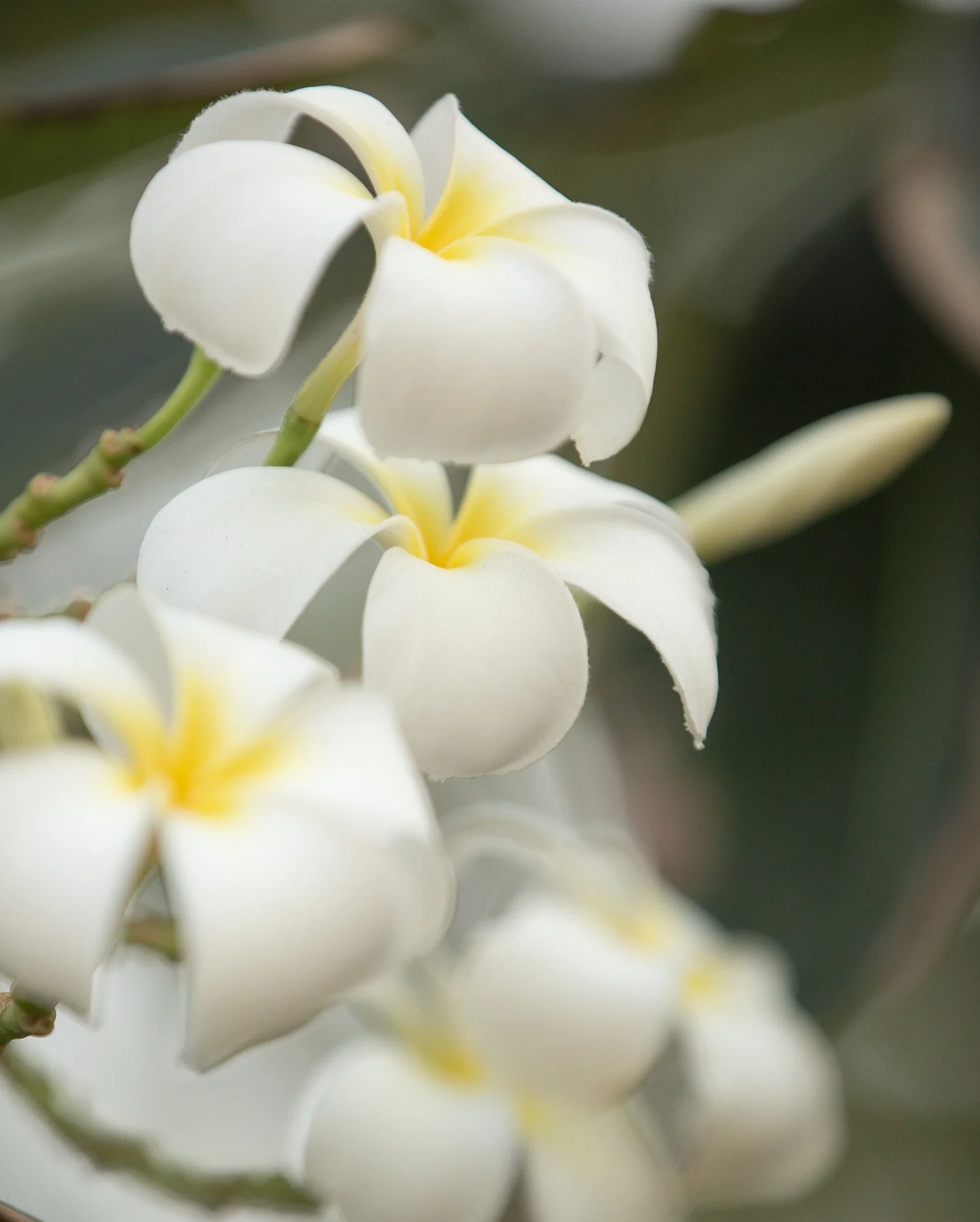 What If It All Works Out? 
Sometimes we spend so much energy preparing for what could go wrong that we forget to imagine what might go right.

What if the timing is perfect &mdash; even if it feels uncertain?
 What if this pause, this stillness, this