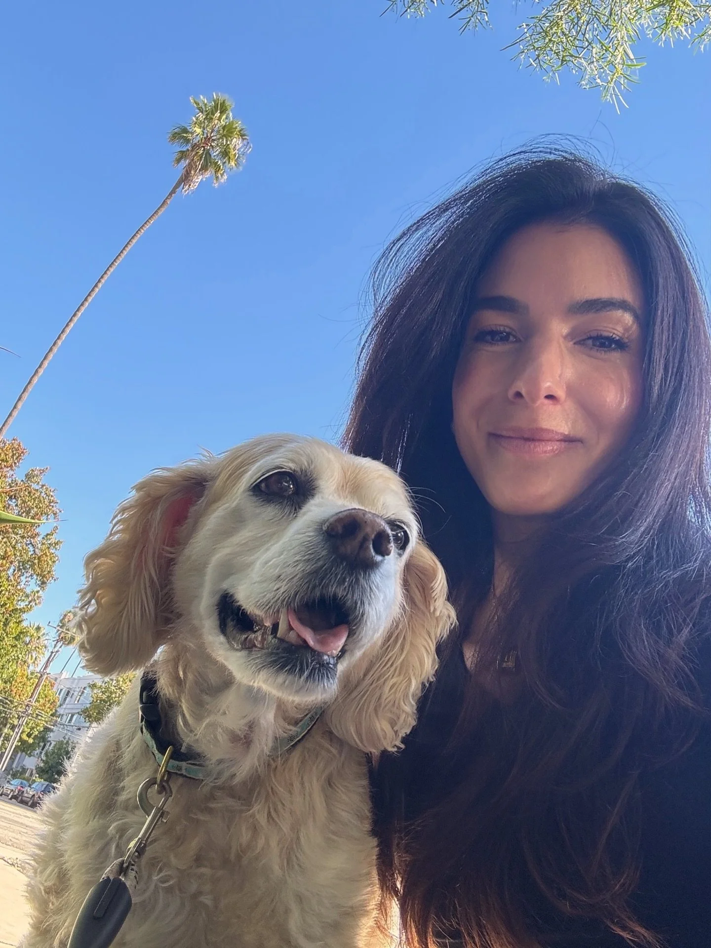 For me, it&rsquo;s the little things. 🌱

Sand in the car, adventure with friends, meaningful work, surrounded by loved ones and our animal friends too&hellip; and sunsets, plenty of sunsets. 

Sending love &hearts;️