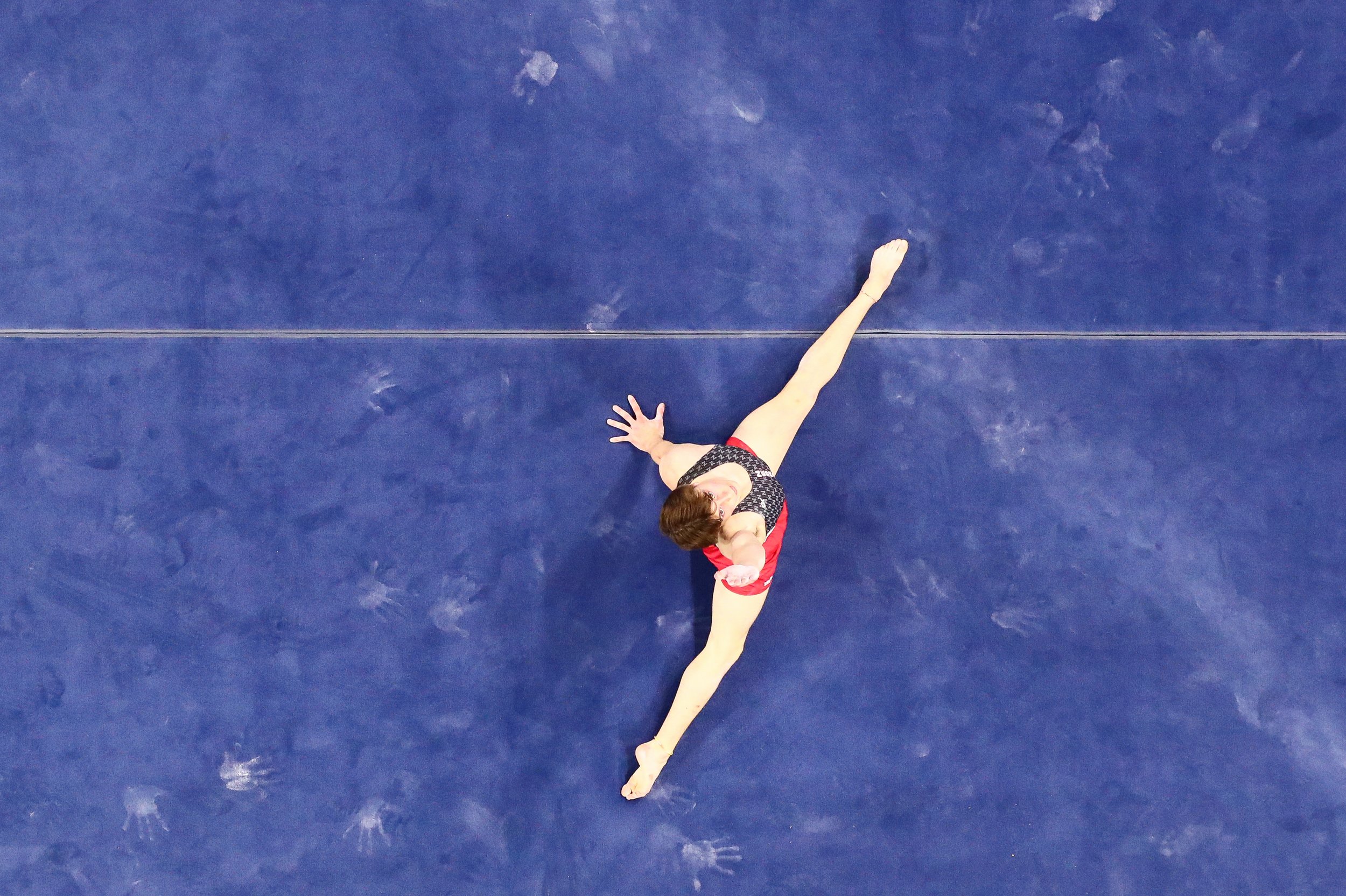 NCAA Men's Gymnastics Championship