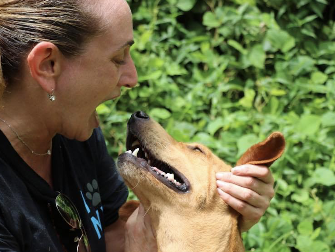 Top Dog Tania’s Life-Saving Trip to Puerto Rico