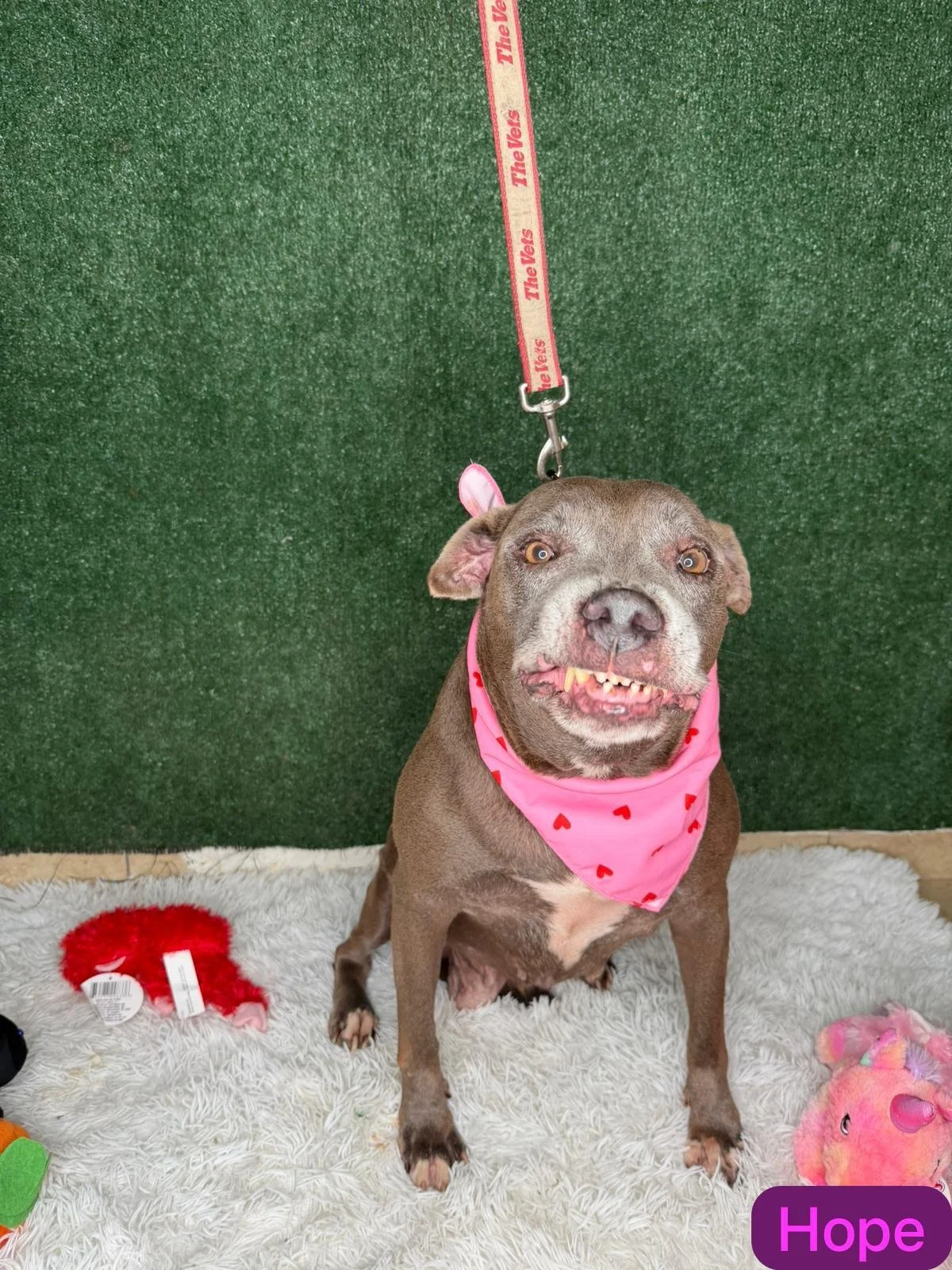 Hope