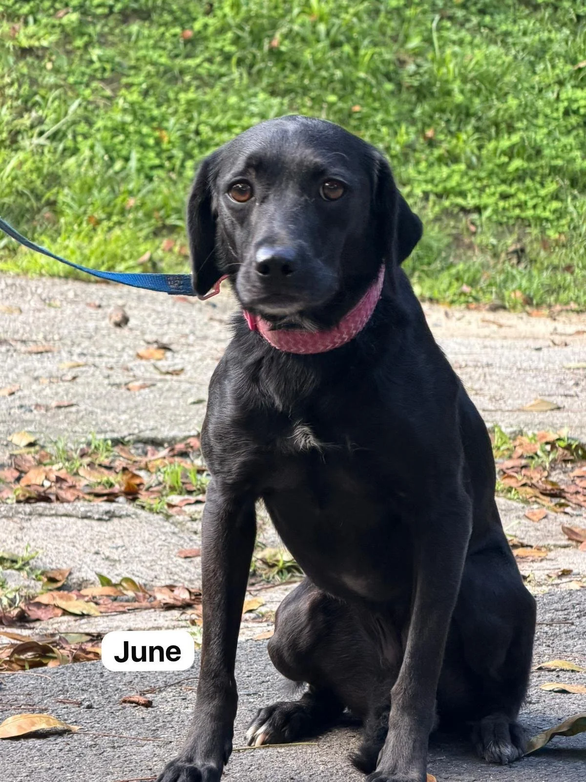 June