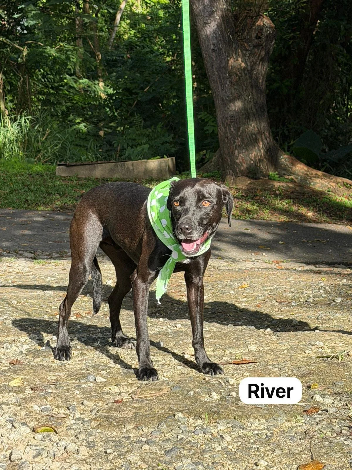 River