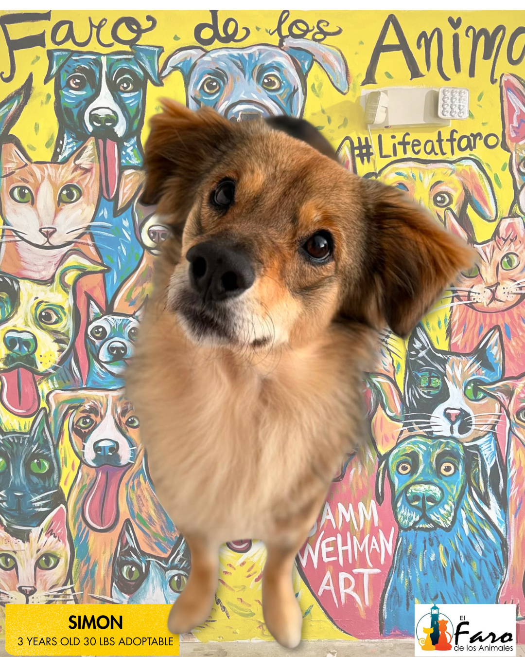 adoptable Mural Template.png