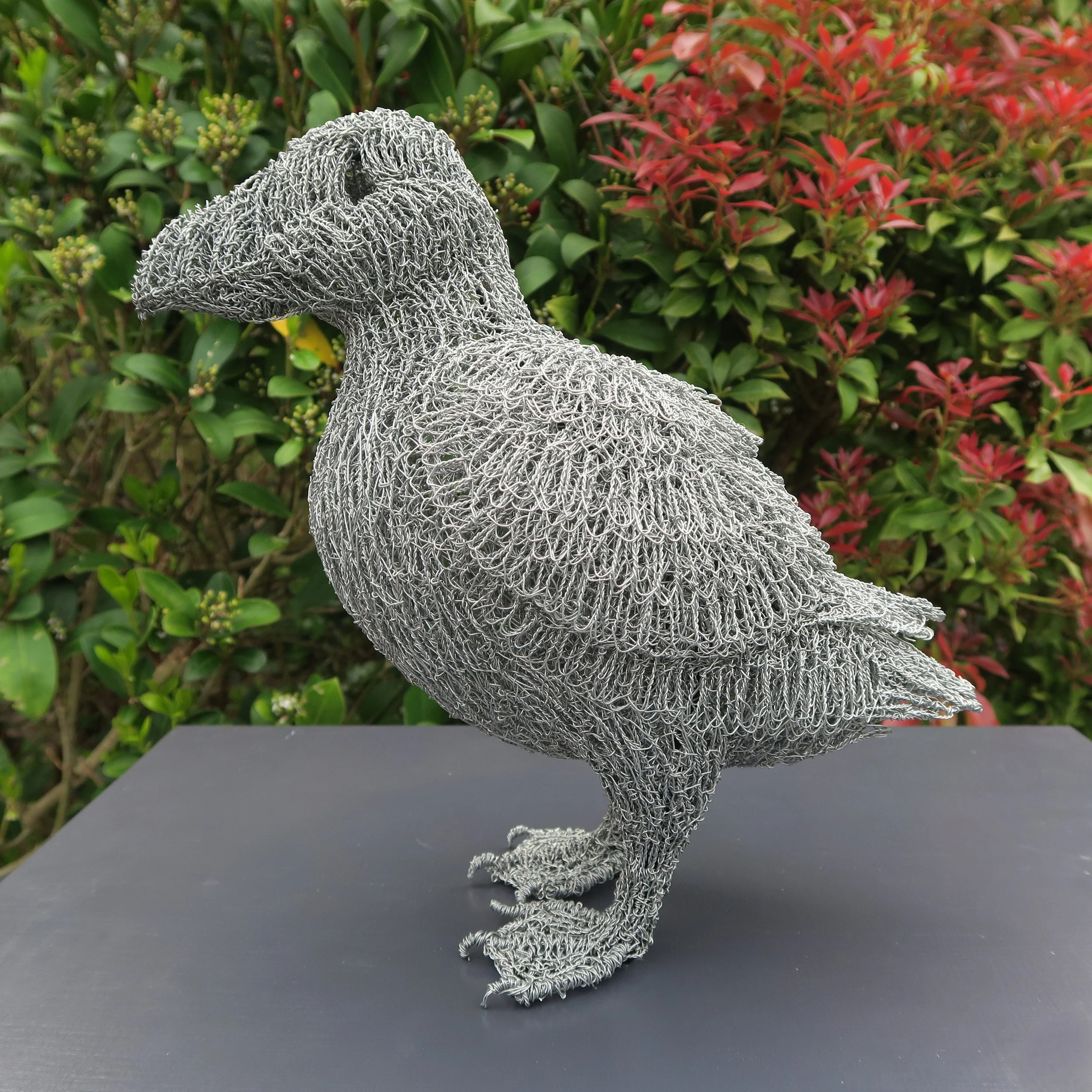 Watchful Puffin.JPG