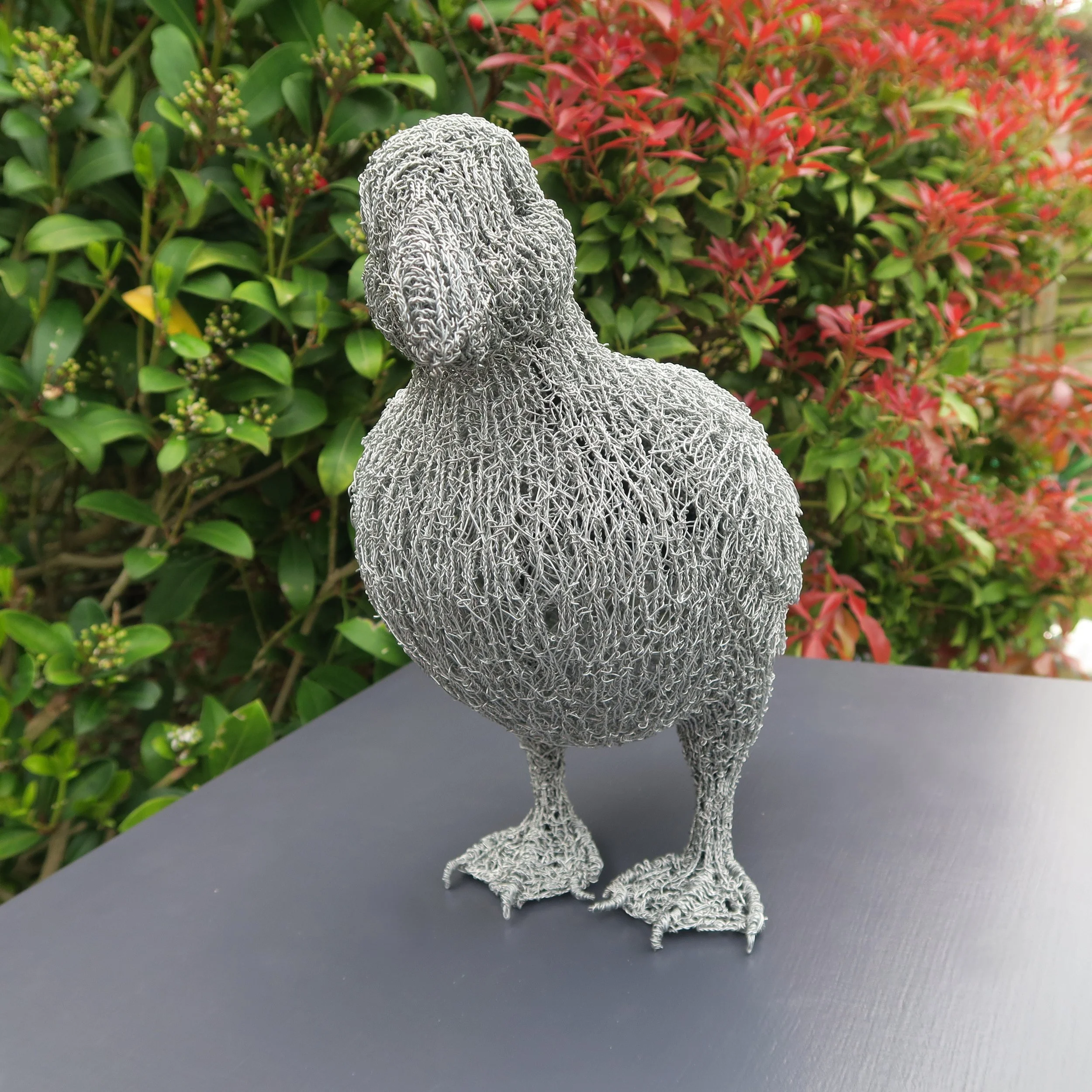 Puffin front.JPG