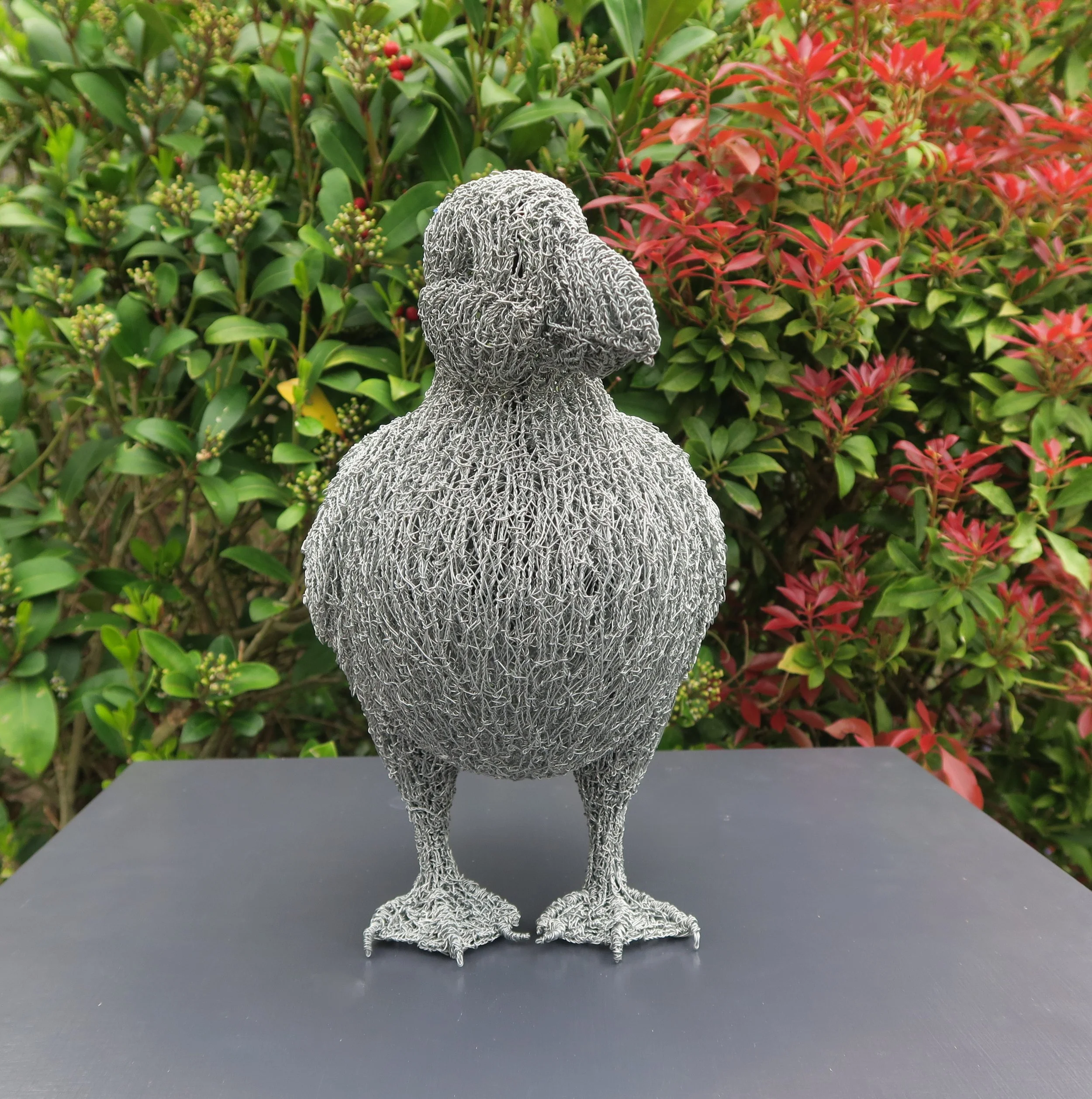 Puffin(1).JPG