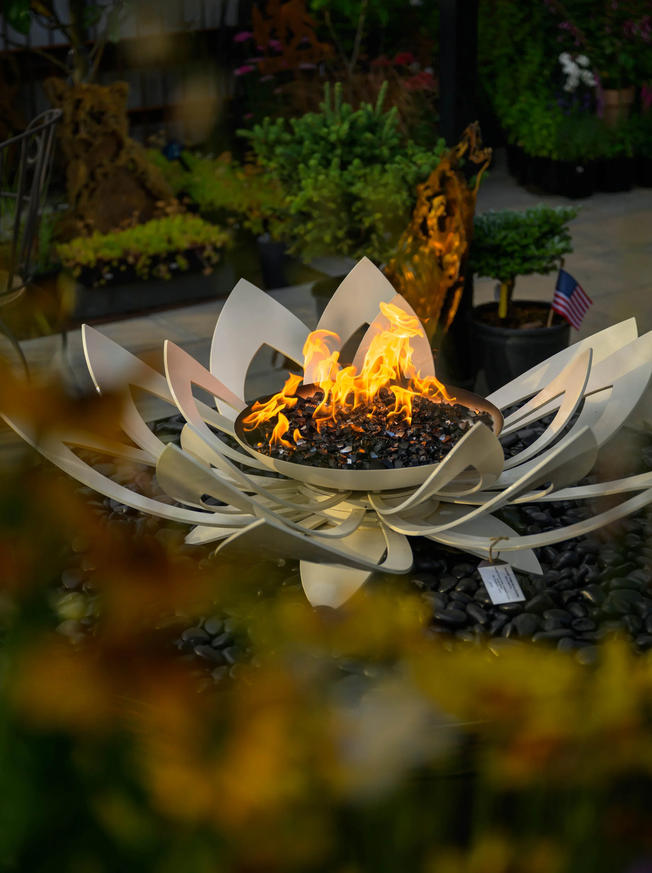 Trinky Busiu Photos July 2025-2224.jpeg