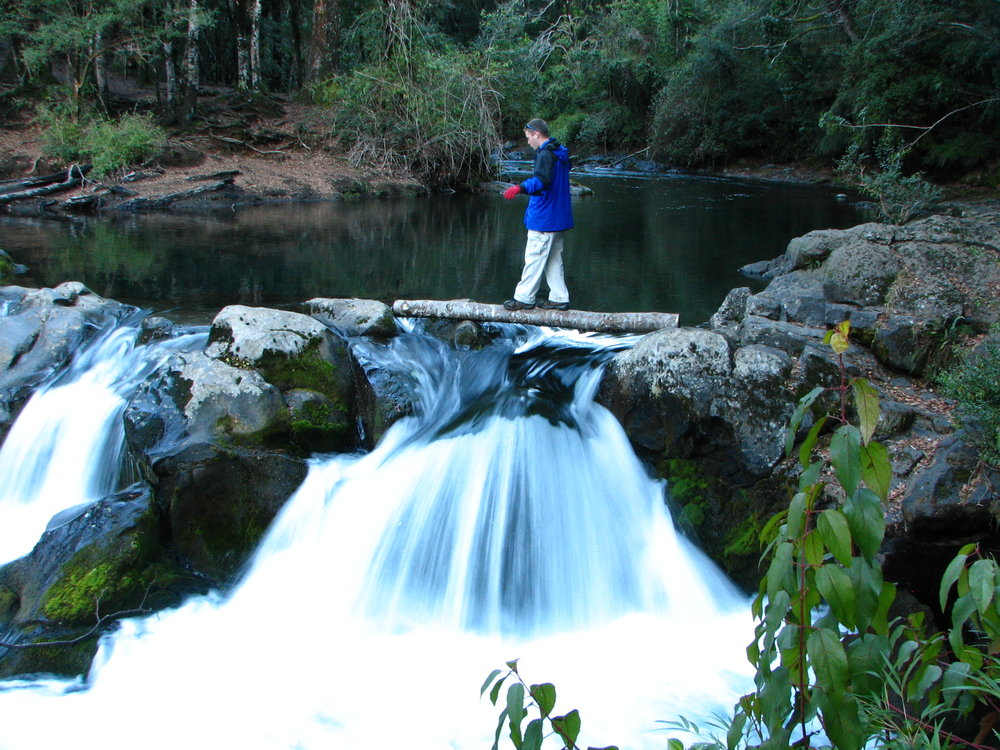 Southern Chile 4.jpg