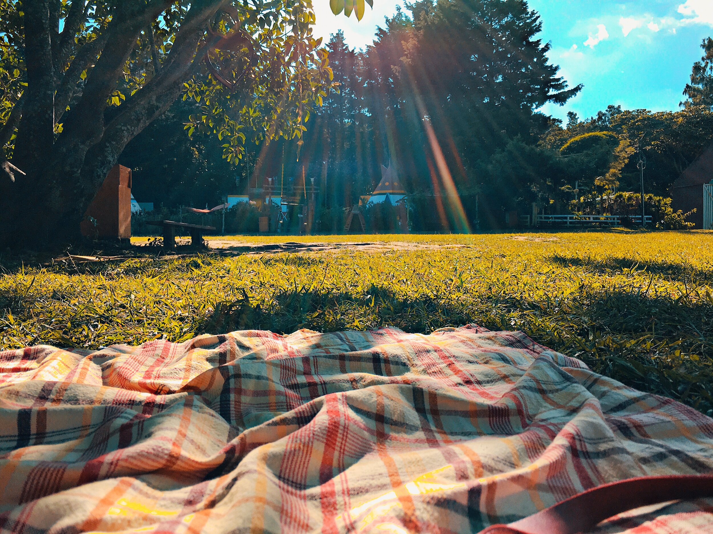  Have an impromptu picnic at Promenade de la Torse 