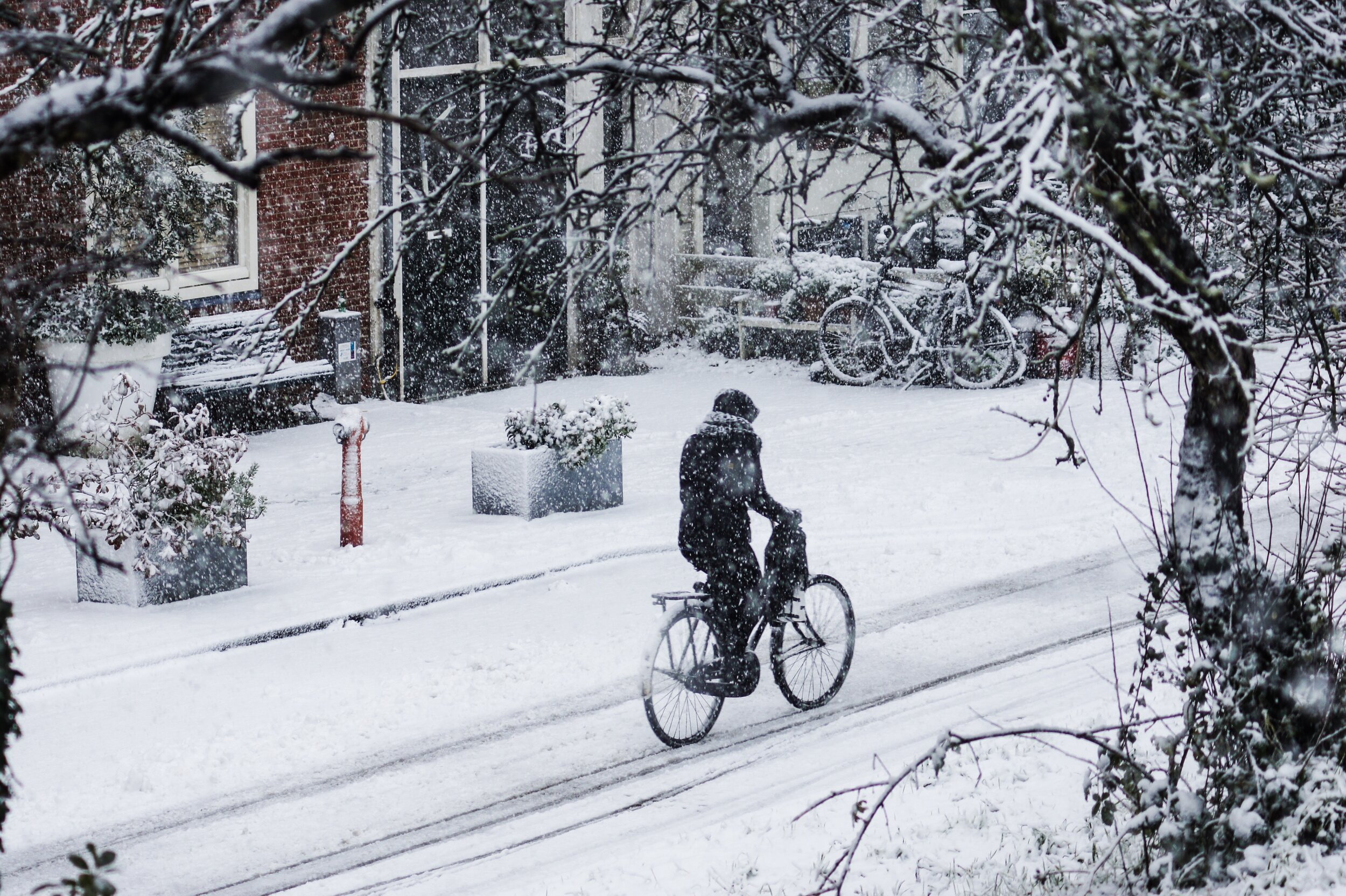  Rent or buy a bicycle and explore the streets of Maastricht - this is a favorite way for locals to get around as well 