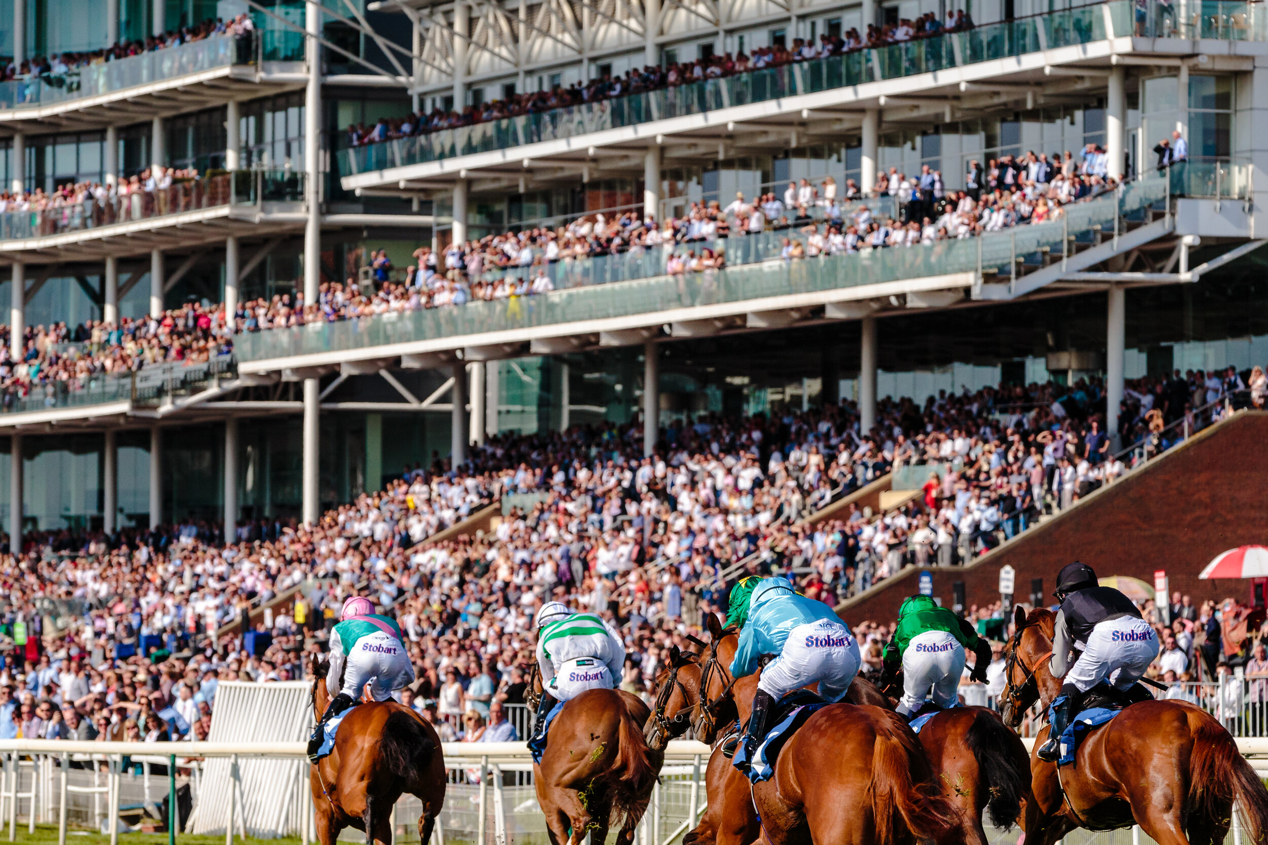  Watch a horse race at Madrid’s most emblematic and traditional horse racing stadium, Hipódromo de la Zarzuela 