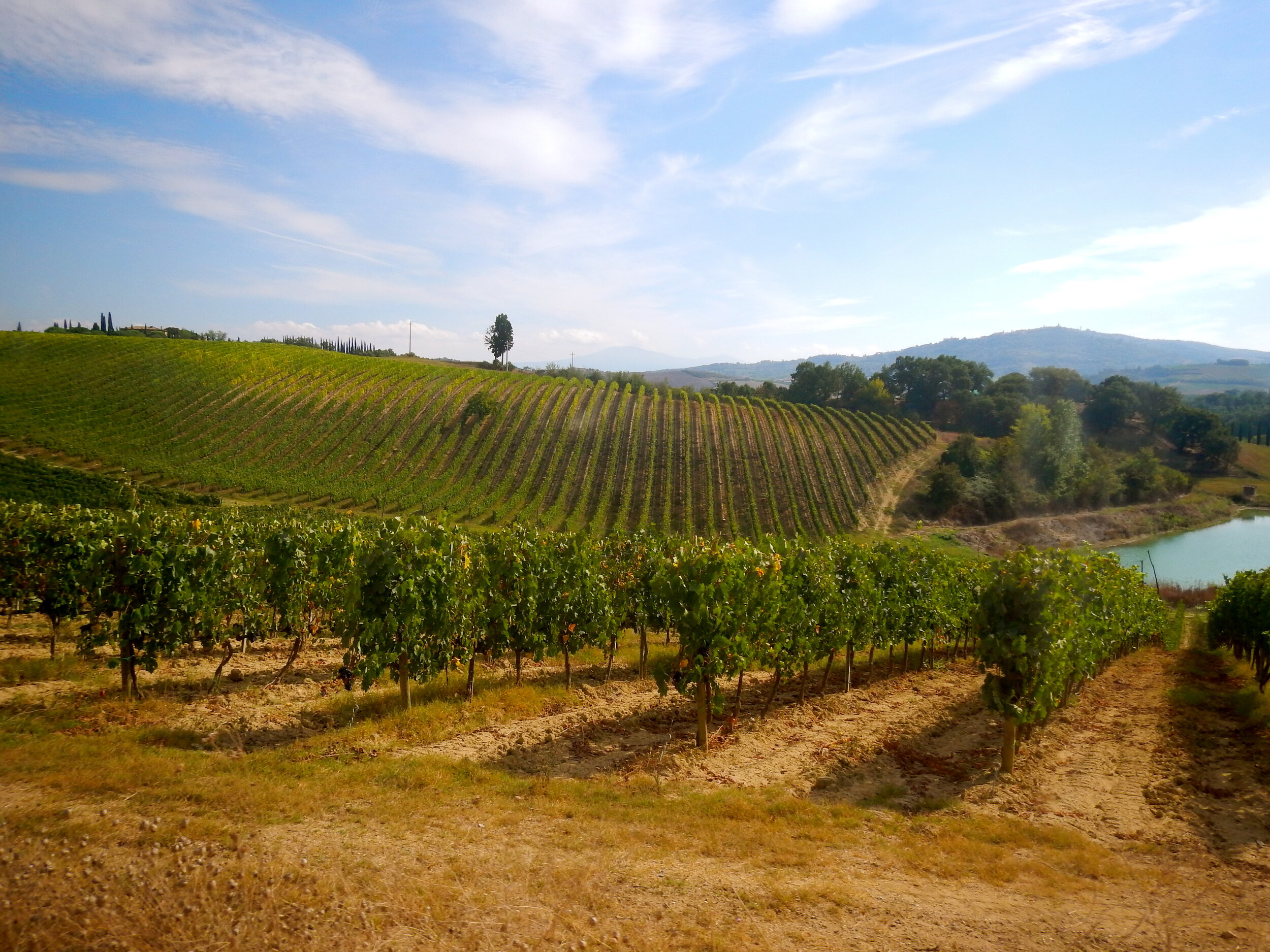  Take a vineyard tour in the Tuscan countryside 