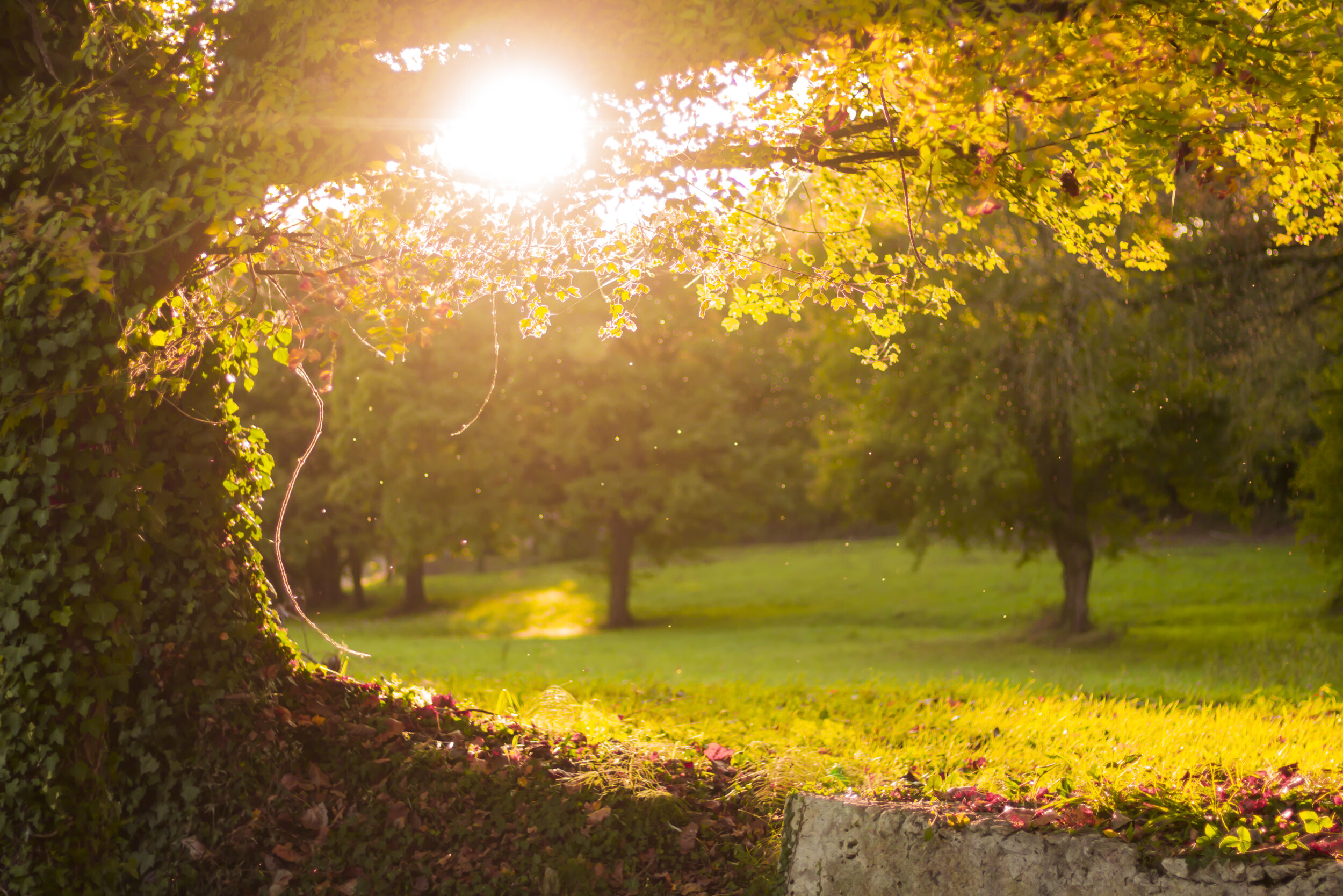  Visit the Parque del Capricho. Located in Alameda de Osuna near the airport, it’s one of the most beautiful parks in Madrid, but almost no one knows about it (especially the Civil War bunker) 