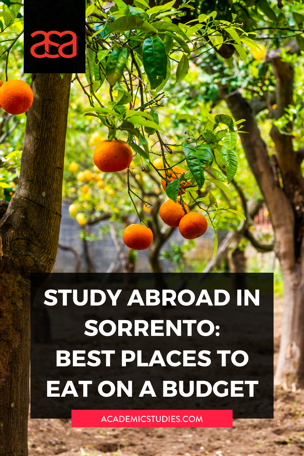 Study Abroad in Sorrento: Best Places to Eat on a Budget