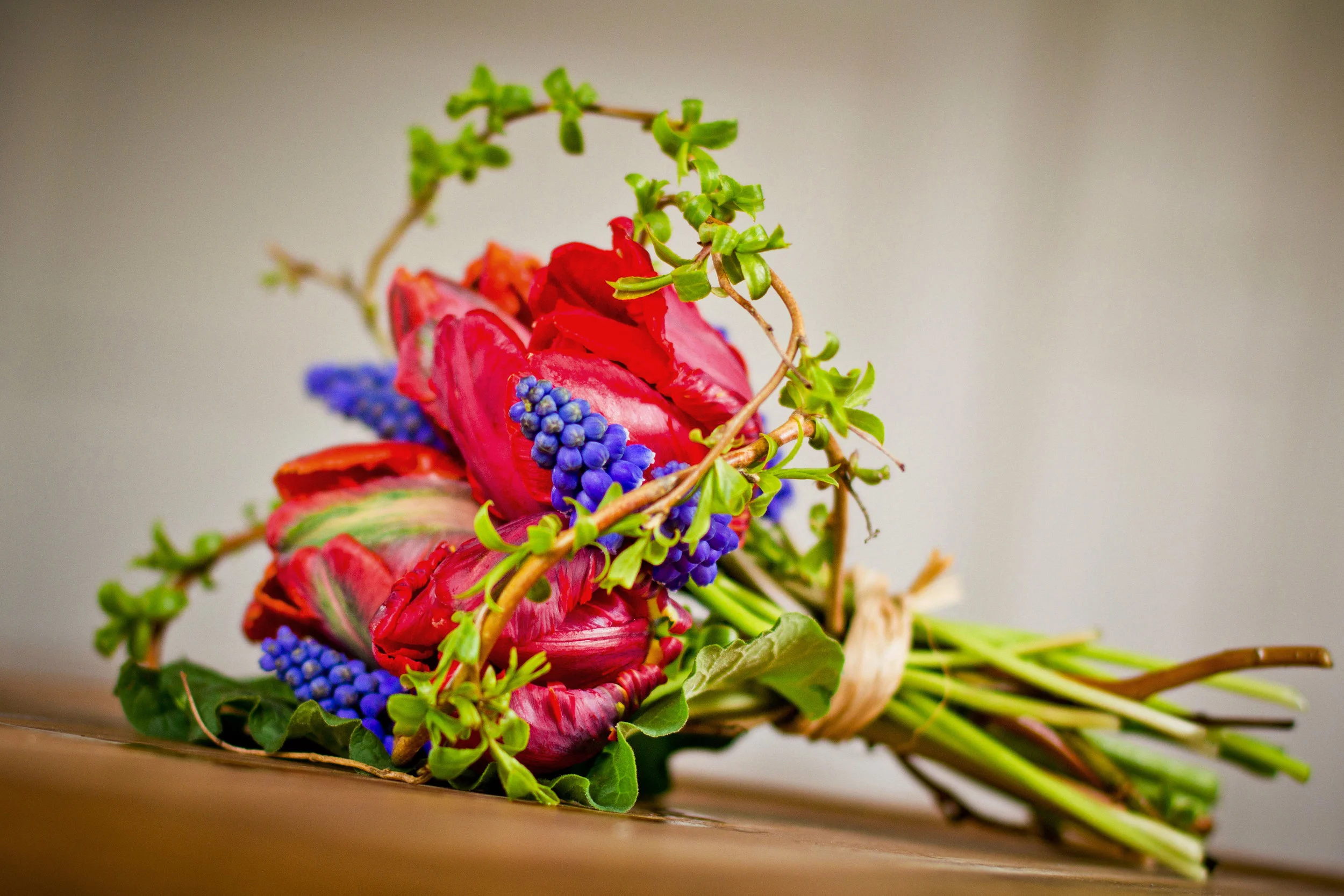 _MG_4840.jpg