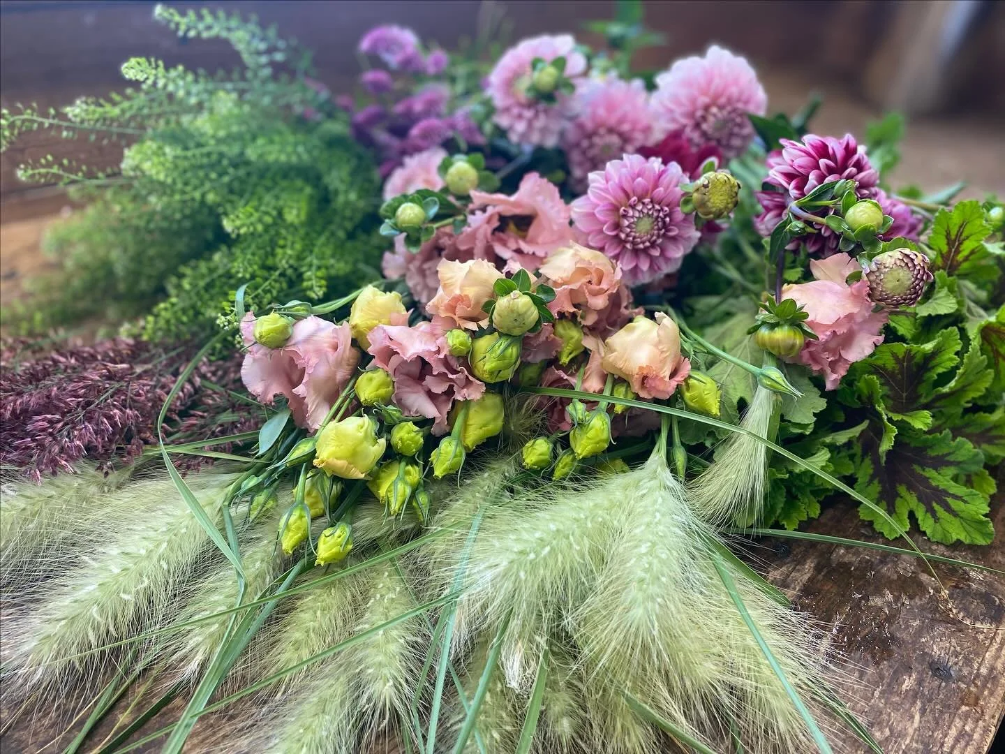 I can&rsquo;t get over the beauty of these annual flowers growing @vermeulenflowerfarm .

We will be back to our regular hours this week:

Thursday  9:30 - 4:00
Friday  9:30 - 4:00
Saturday  9:30 - 2:00

228 Lincoln Street, Lunenburg

Stop by to say 