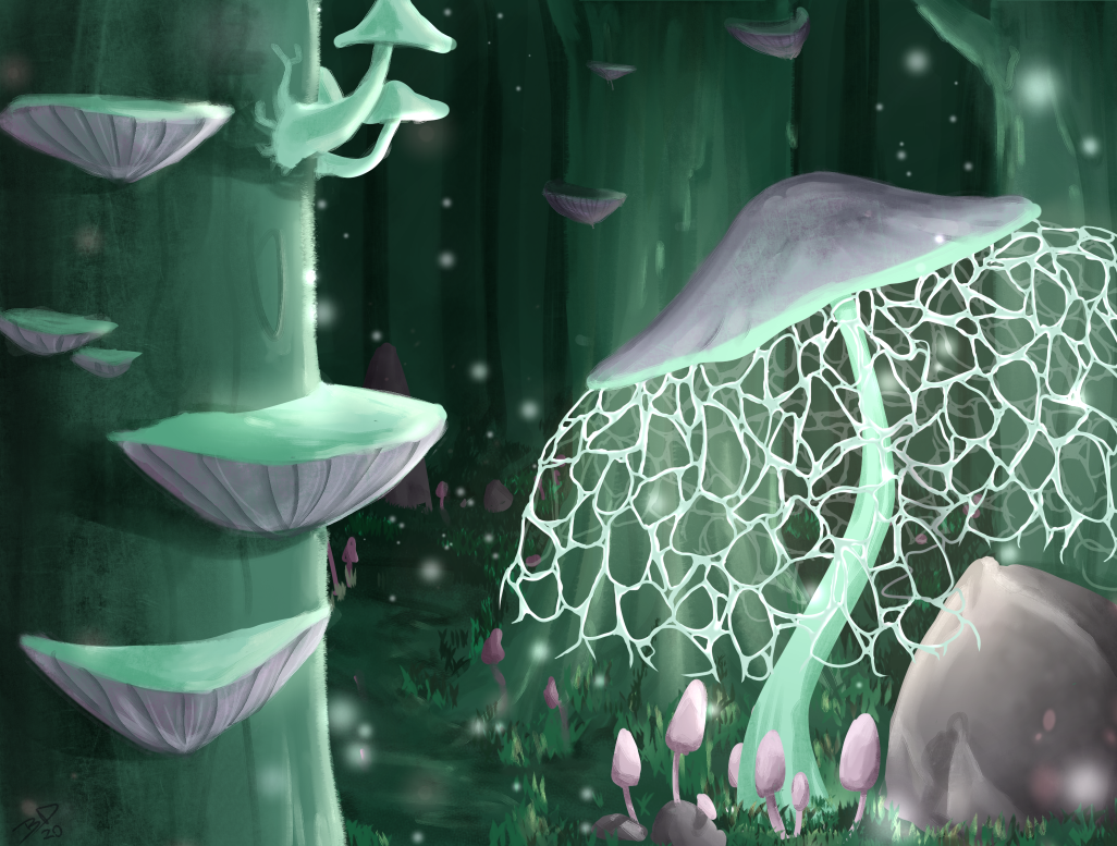 In The Deep Woods
