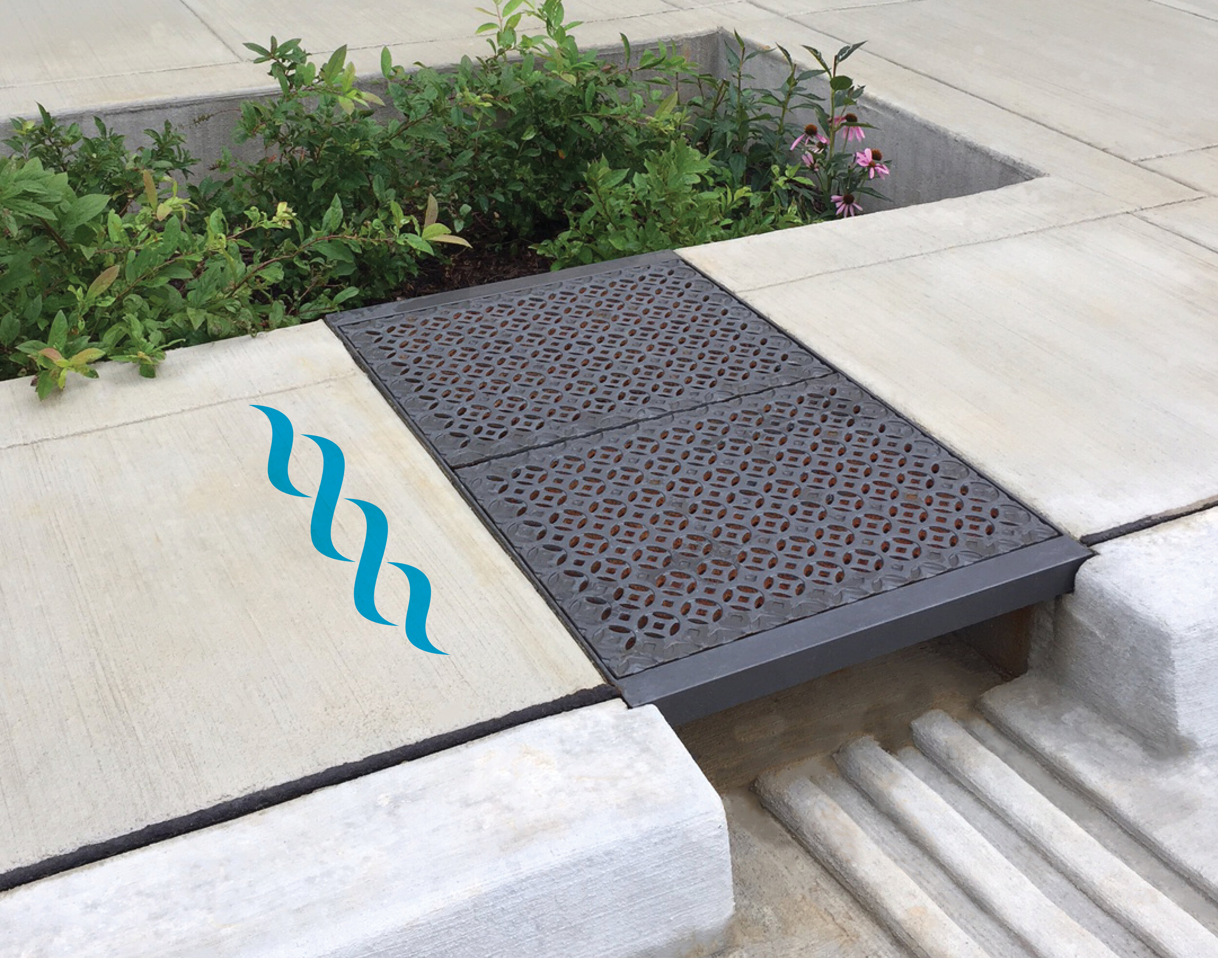 Trinity Storm Drain_Rain Garden_for portfolio.jpg