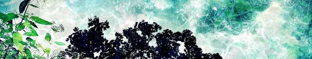 Banner.jpg