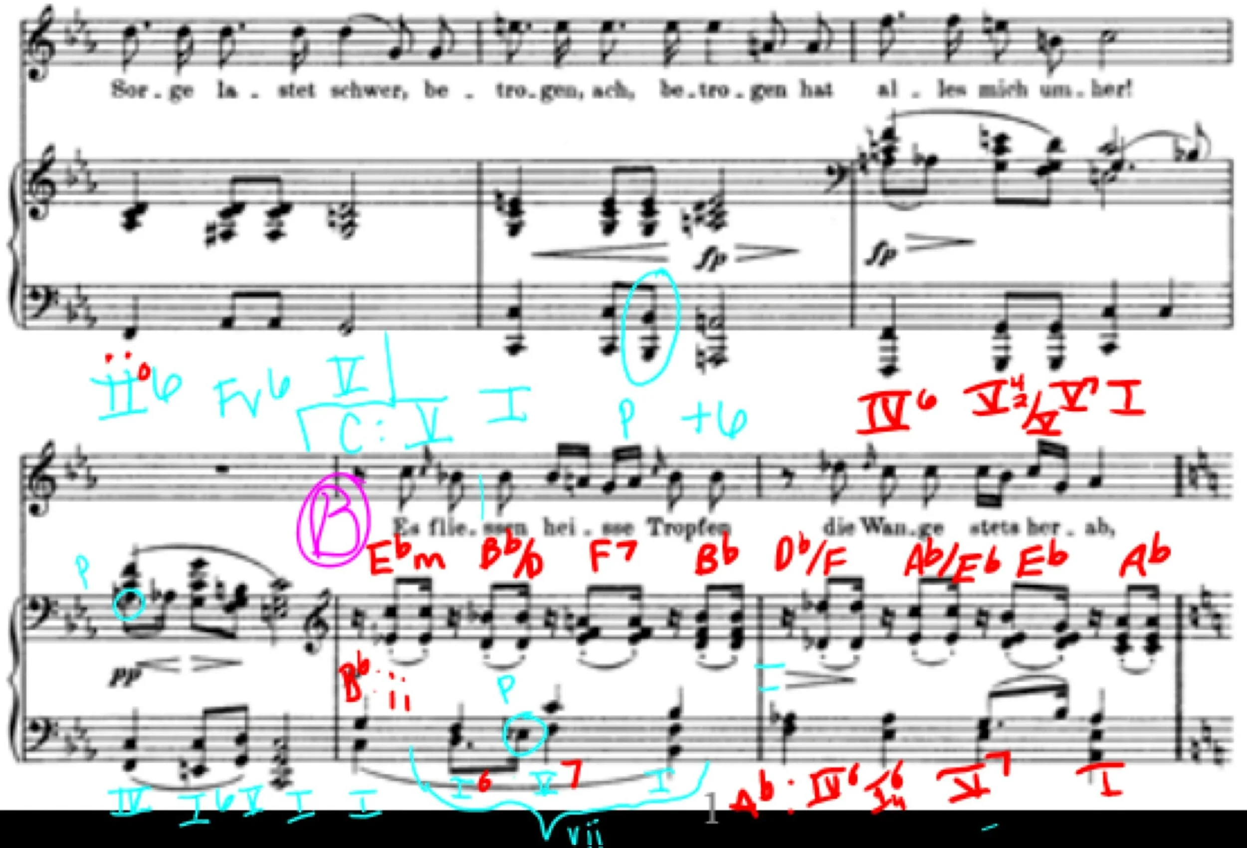 Everything You Ever Wanted To Know About Music