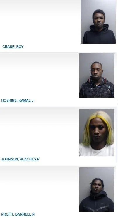 Felony Burglary and Retail Theft Charges for 4 Individuals Accused of Stealing $15,000 Worth of Merchandise from Ulta Beauty Store in Oak Brook. 