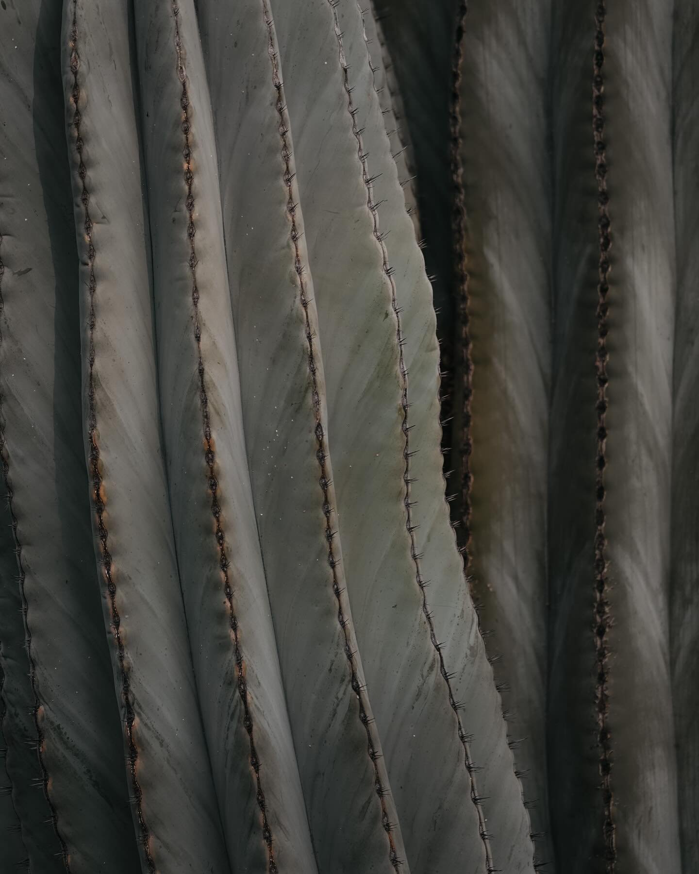 Textures
