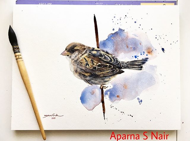 I love sparrows and obviously love painting them. So I’ve decided to create a series of watercolor sparrows and this is going to be the second painting of the series. I don’t get to see them much nowadays, especially here in Hamburg, but