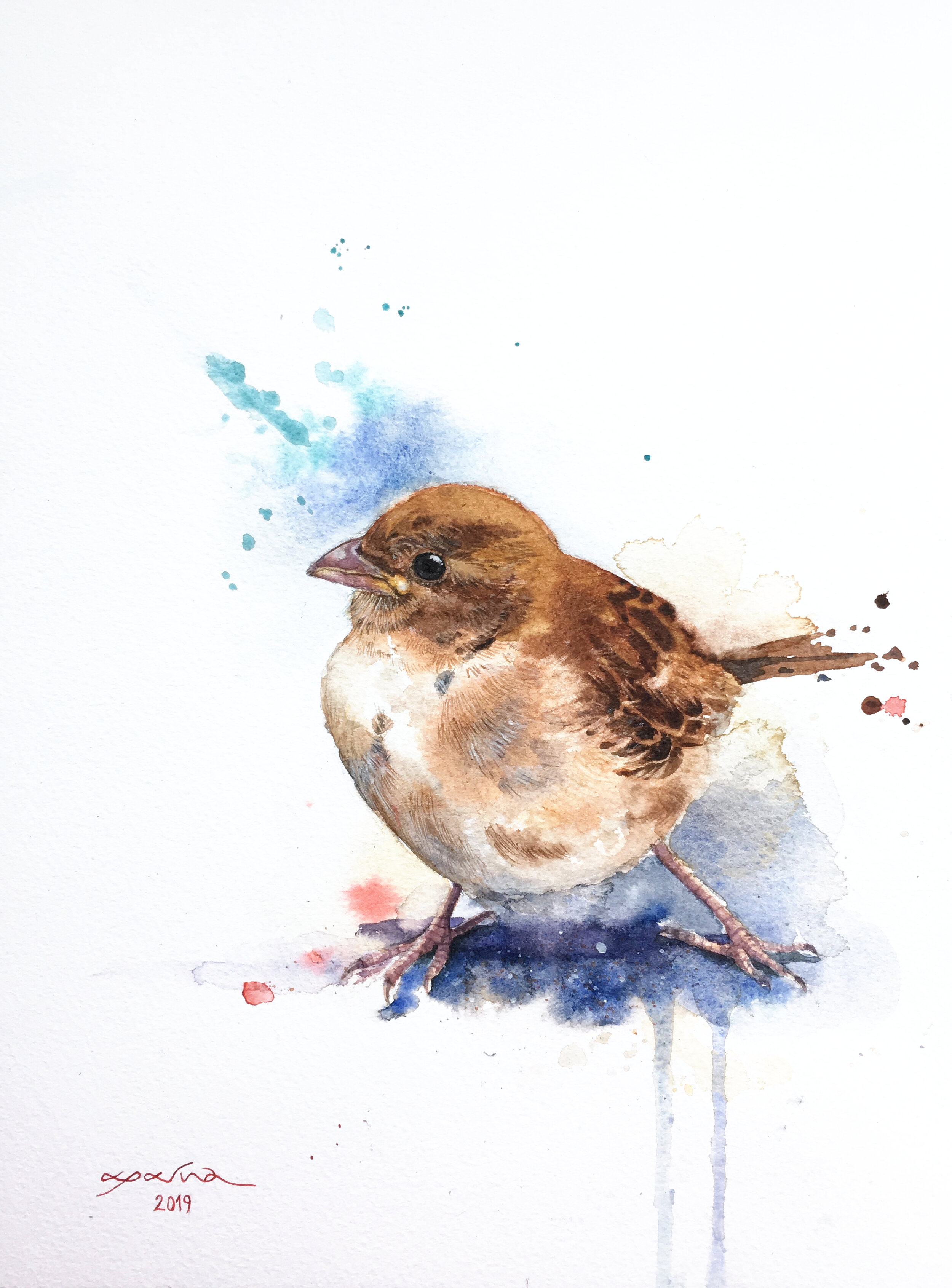 "Pondering" - Sparrow I