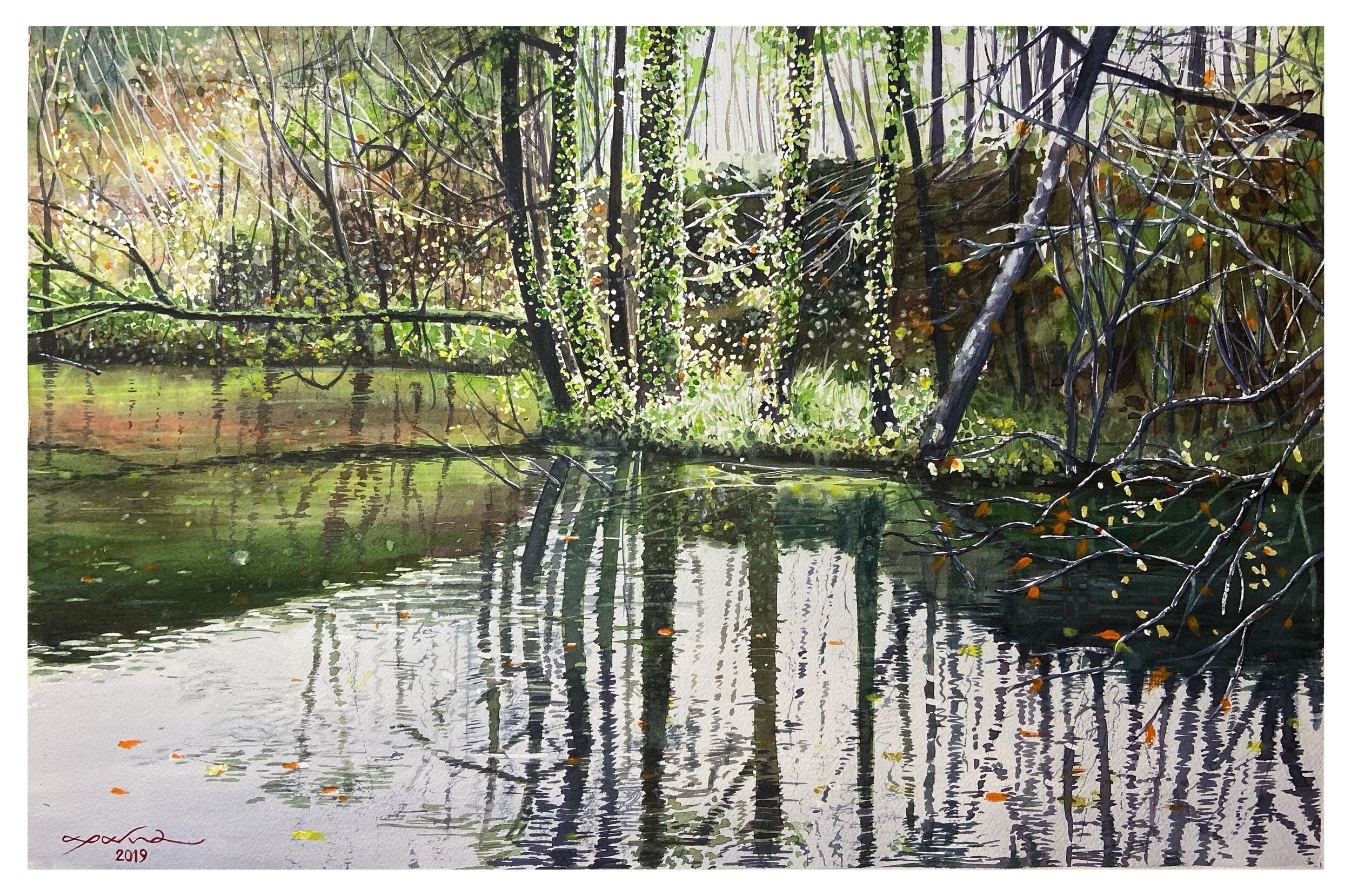 An autumn afternoon at the Silverlake