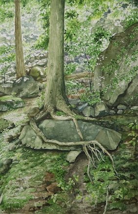 'You are my rock', Watercolour on paper, 38 cm x 56 cm