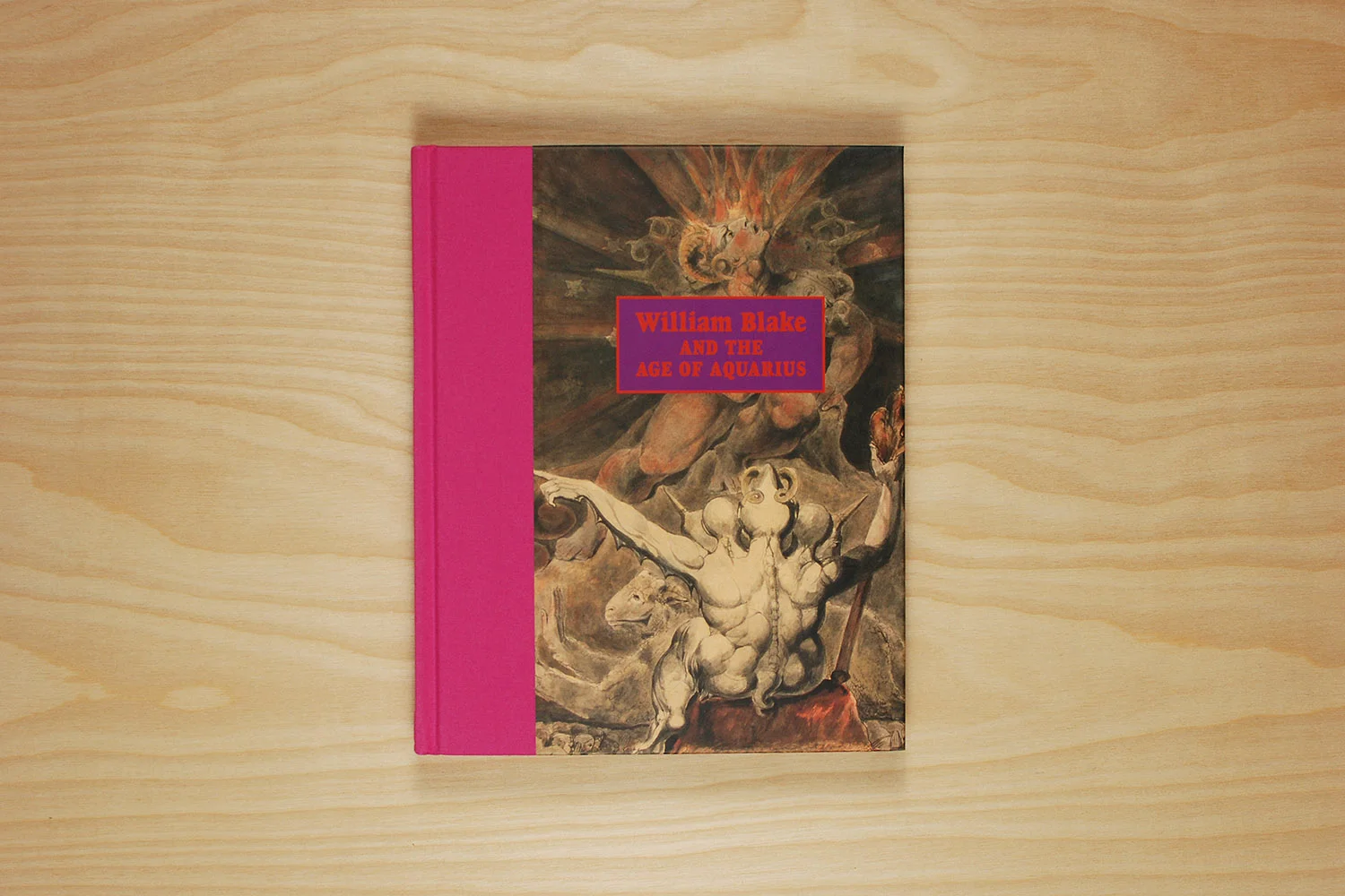   William Blake and the Age of Aquarius  Block Museum of Art Princeton University Press 