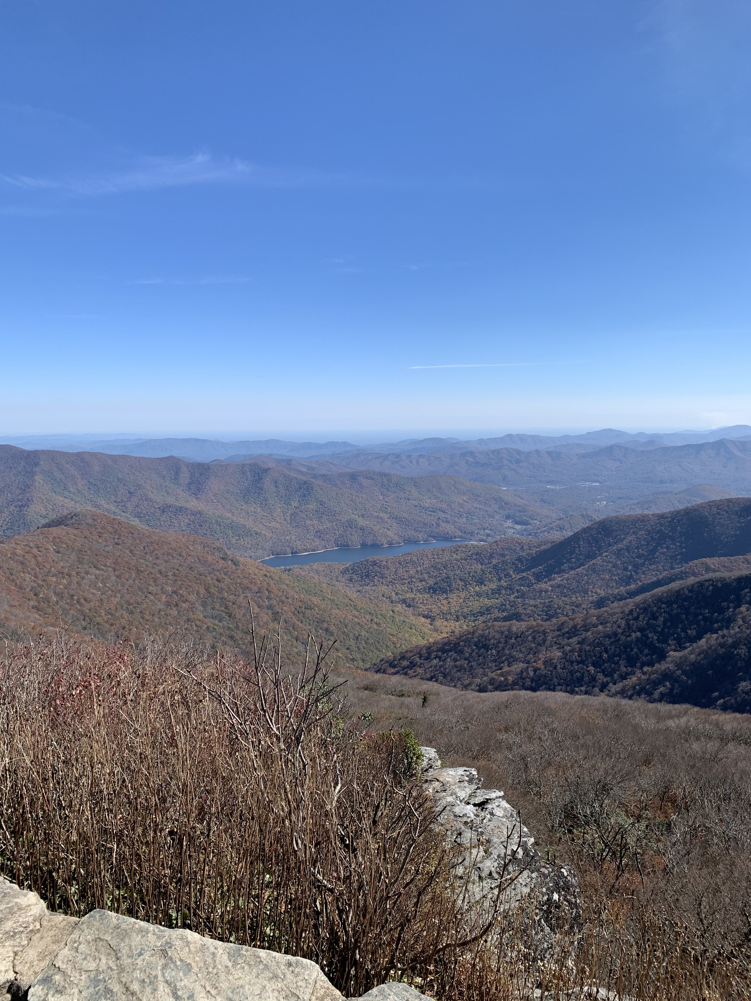 IMG_1443.jpeg