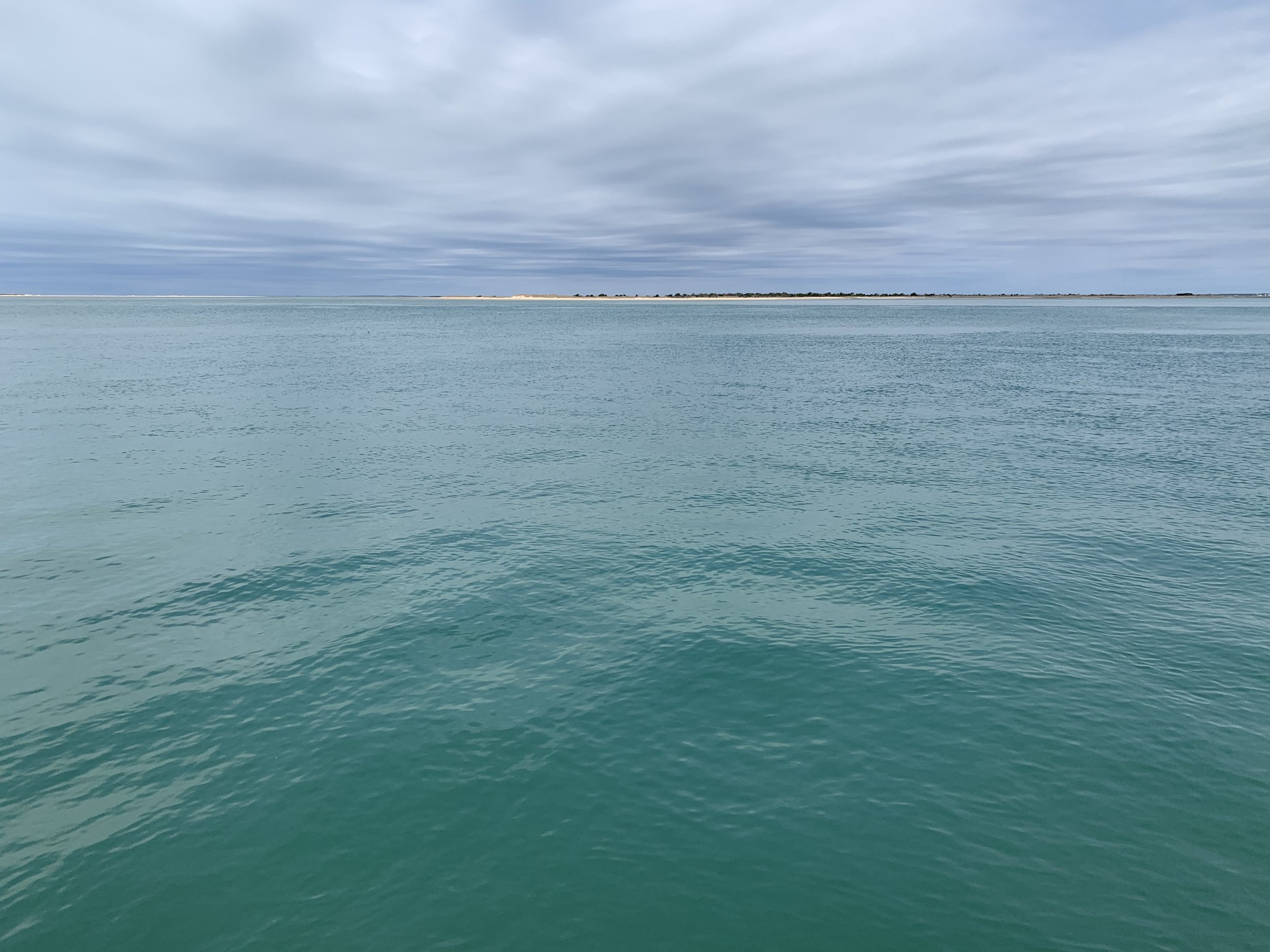 IMG_9973.jpeg