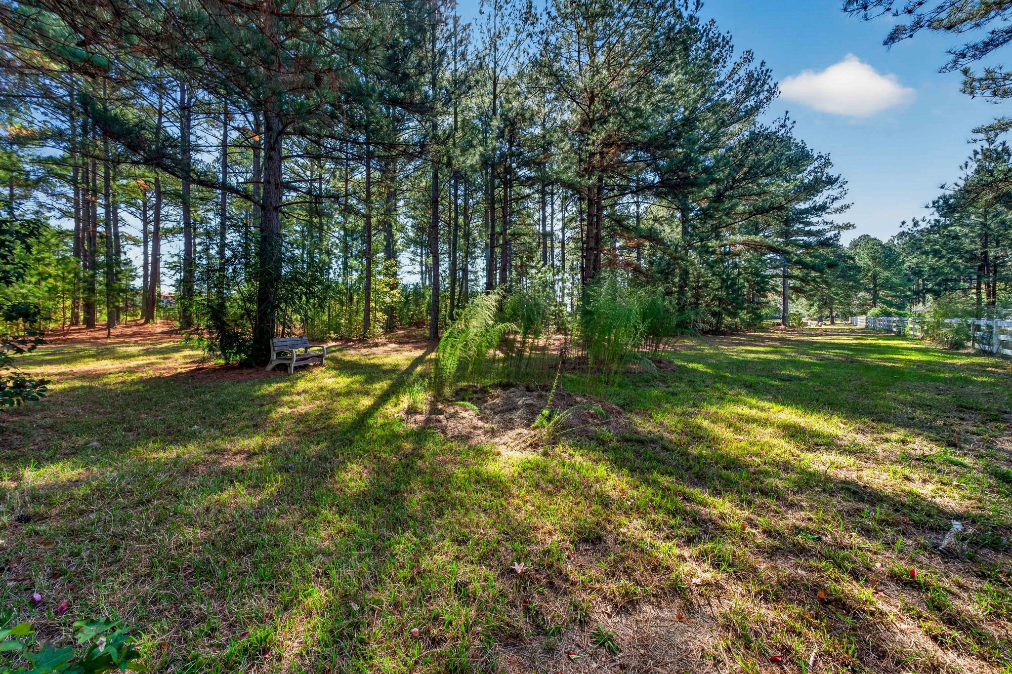 70-web-or-mls-7616 Lake Wheeler Road -70.jpg