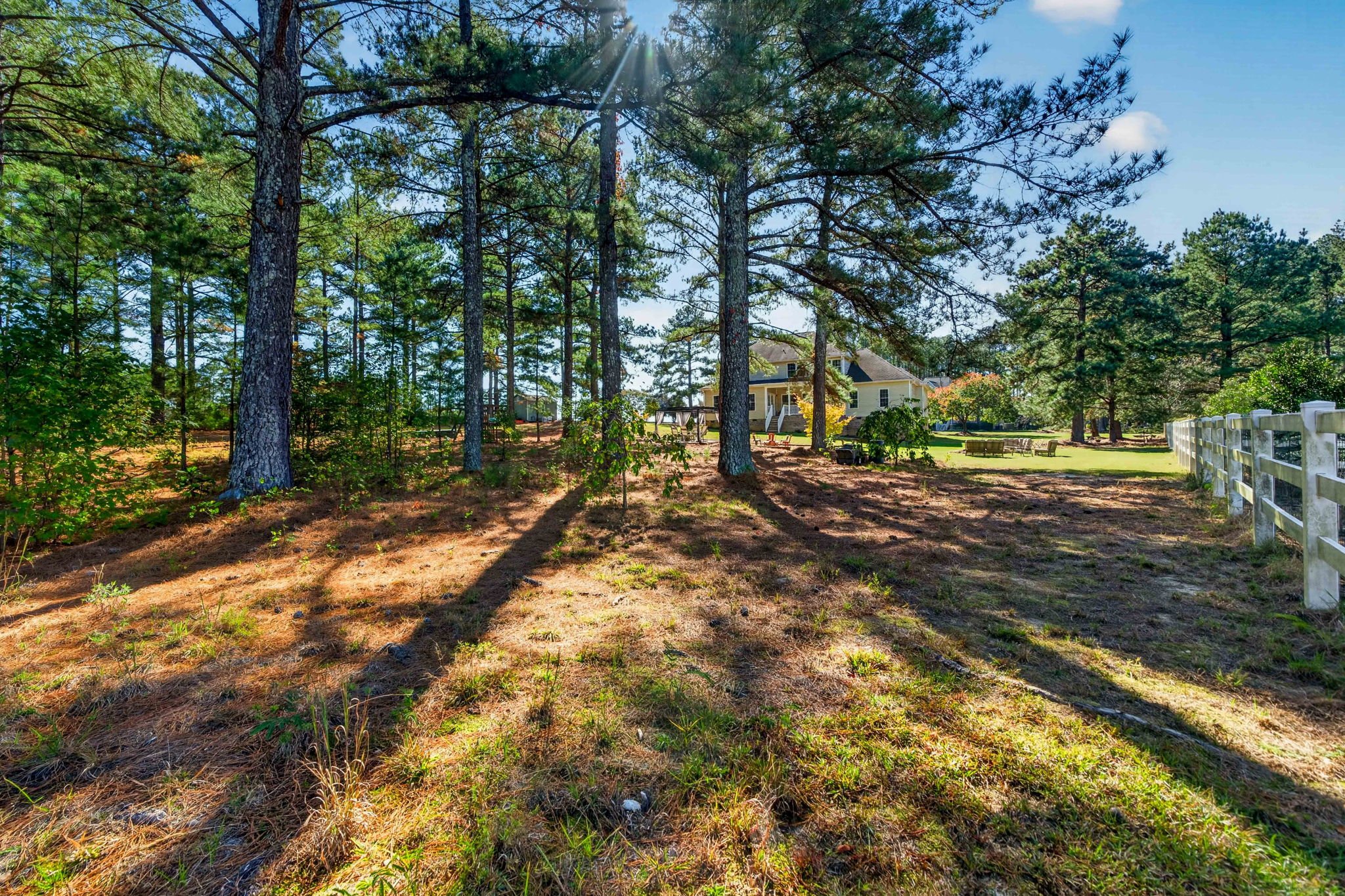 71-web-or-mls-7616 Lake Wheeler Road -71.jpg