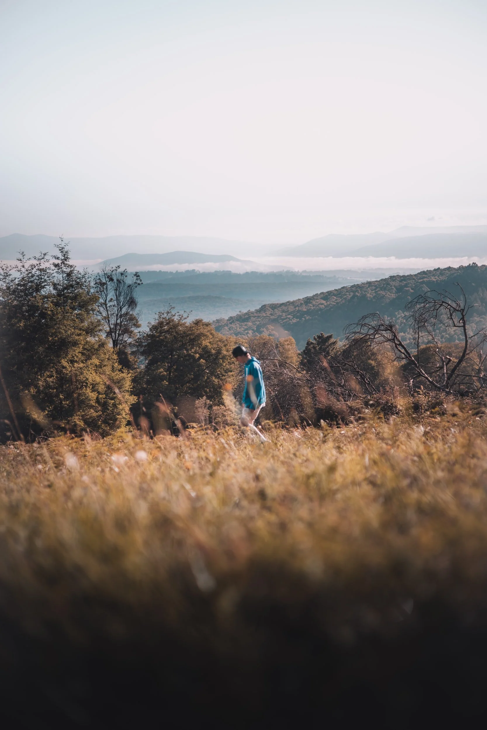 tender heart, tender tootsies