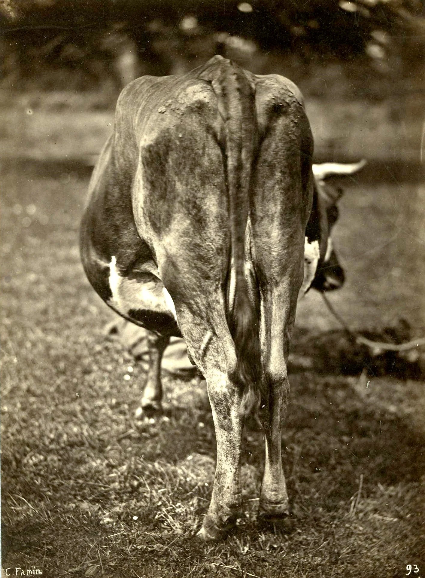 0160_01a.jpg