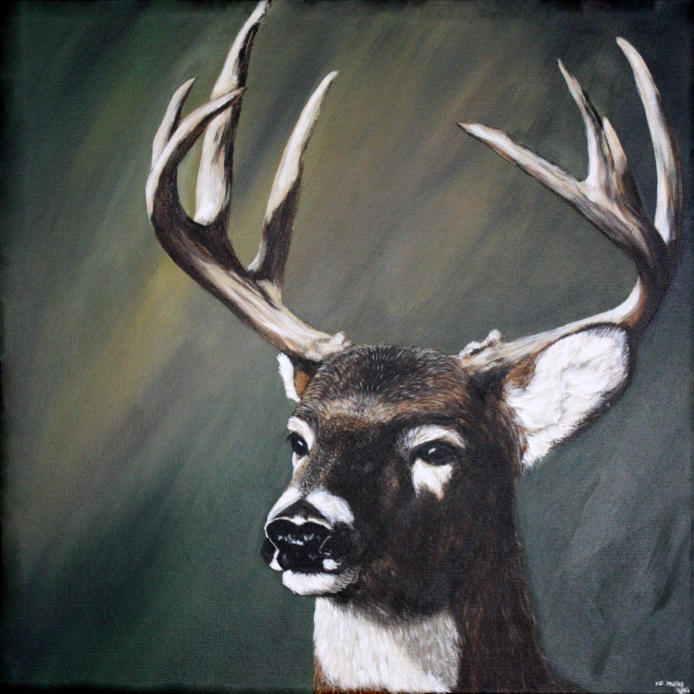 Stalwart Buck