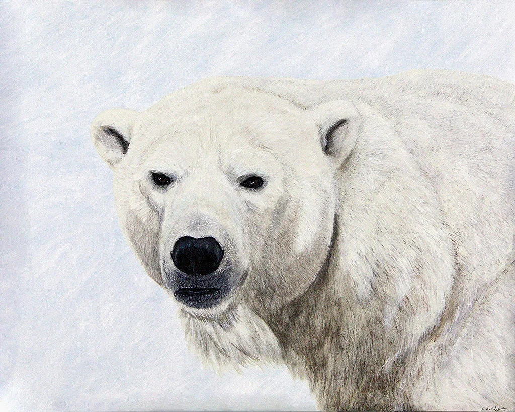 Vanishing Bear