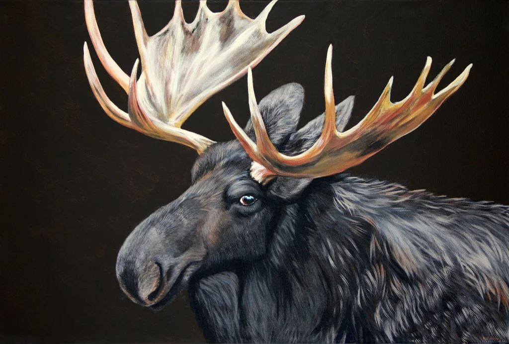 Chocolate Moose